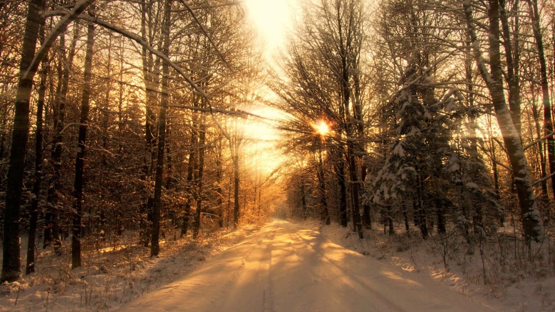 1920x1080  Winter Forest Road & Sun Light