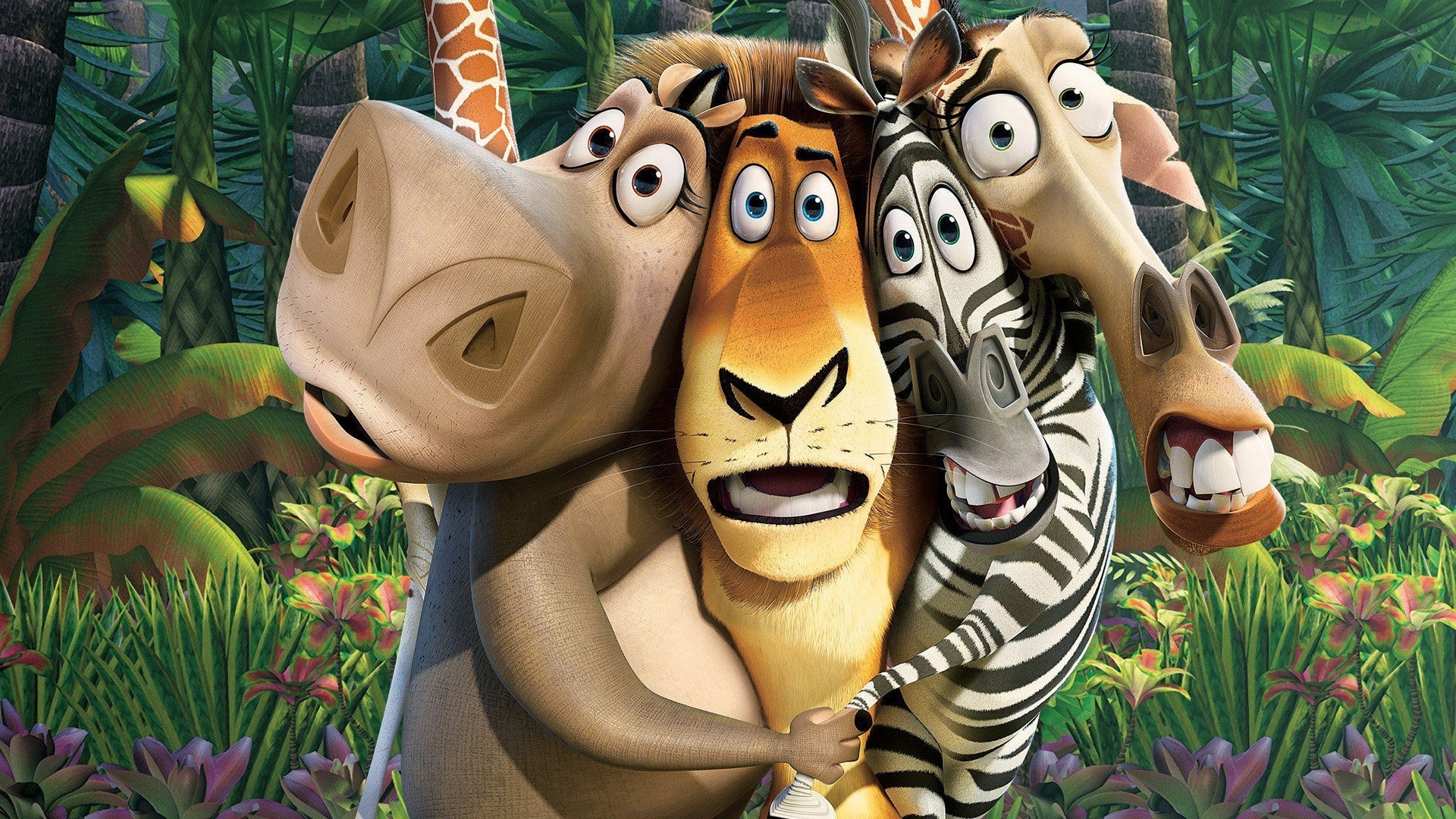 1920x1080 movies, Madagascar (movie) Wallpapers HD / Desktop and Mobile Backgrounds