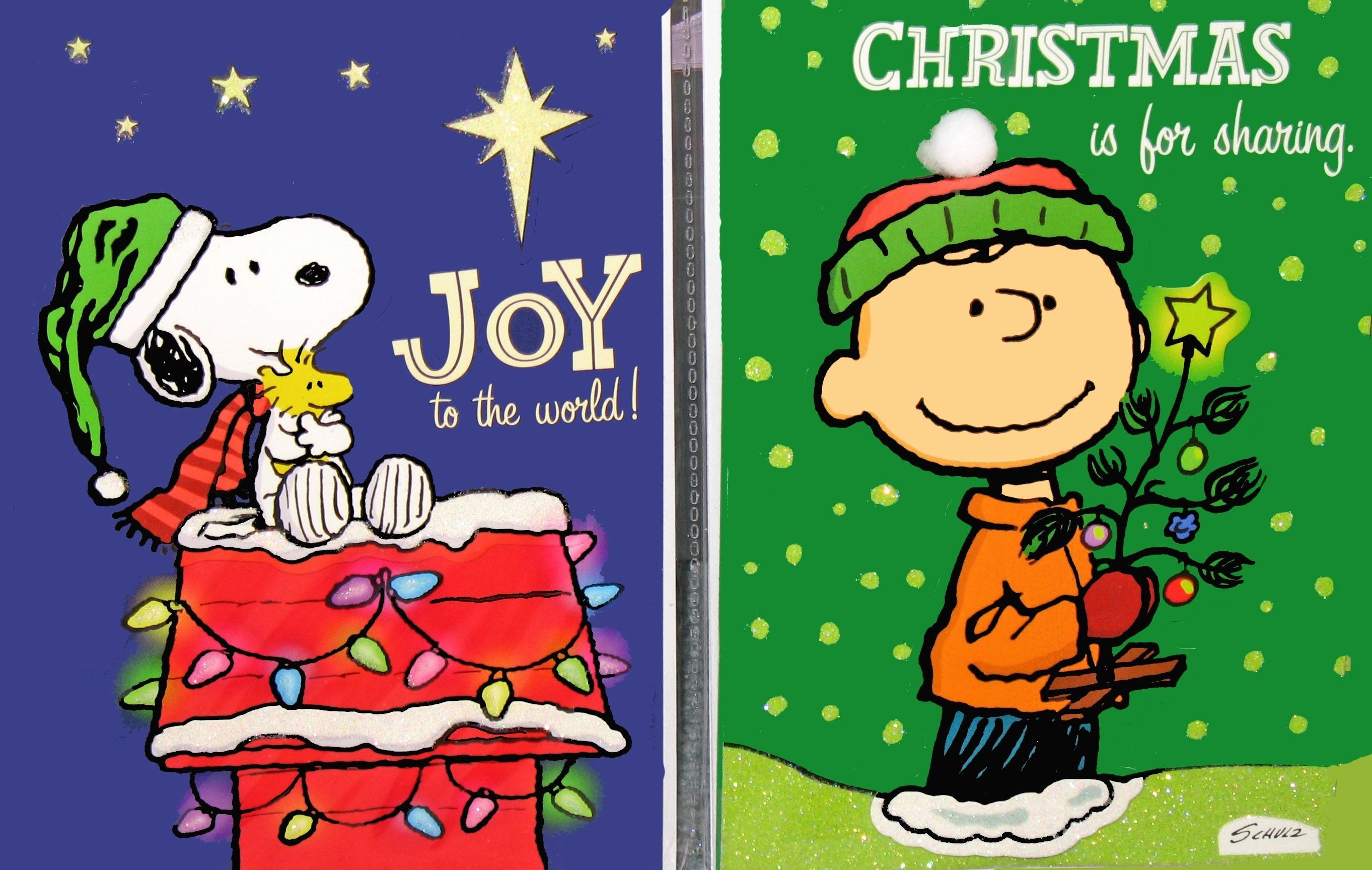 2725x1728 2048x1468 Download Peanuts Christmas Wallpaper 40 with original resolution  Click Here!