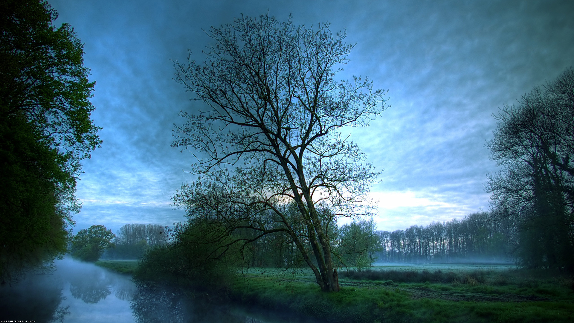 1920x1080 wallpaper.wiki-Beautiful-Nature-HD-background-trees-PIC-