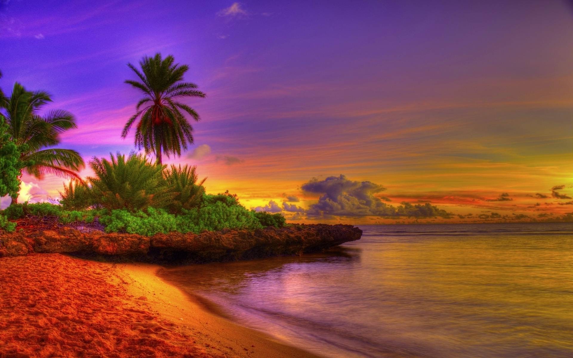 1920x1200 Pics In High Quality - Tropical Beach by Aoide Gealy