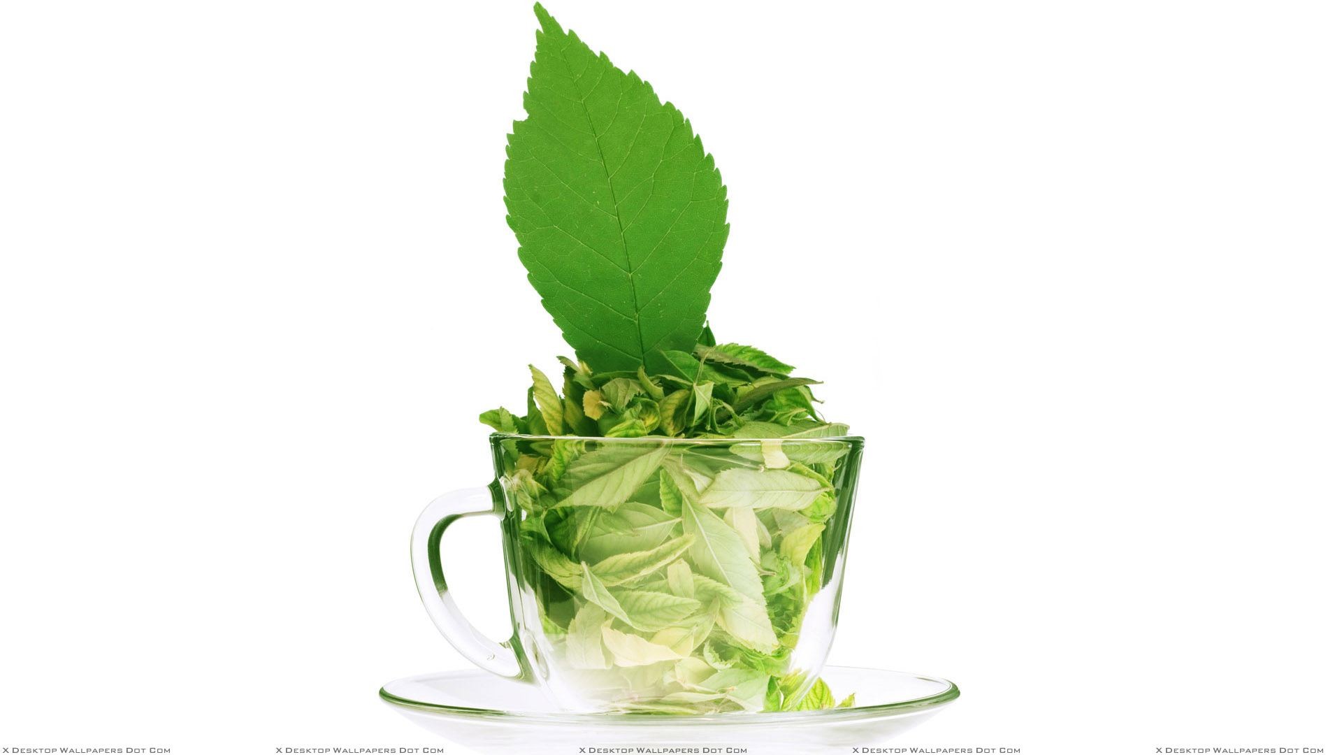 1920x1080 You are viewing wallpaper titled "Green Tea ...