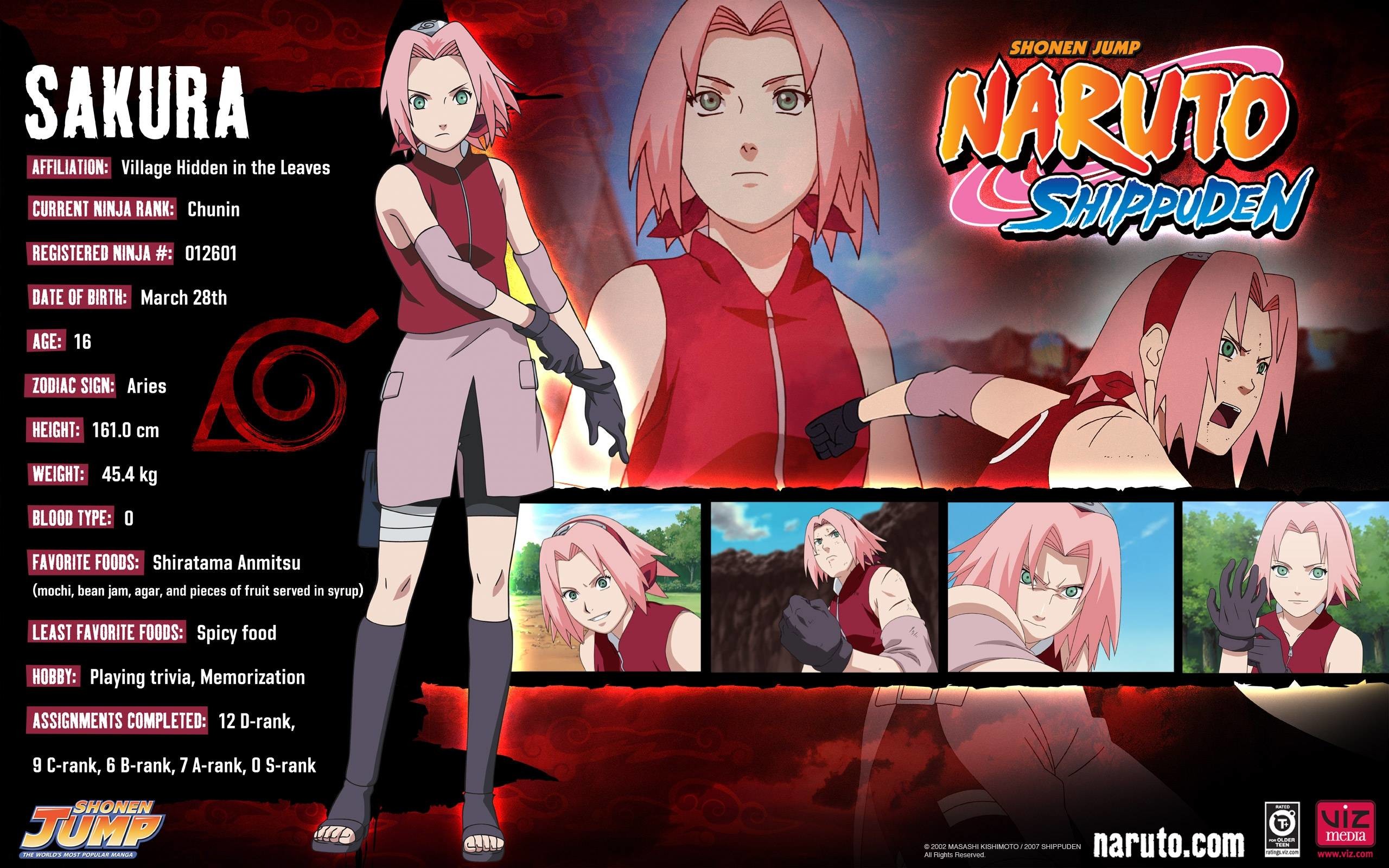 2560x1600 Sakura Profile Naruto Shippuden Wallpaper | High Definition .