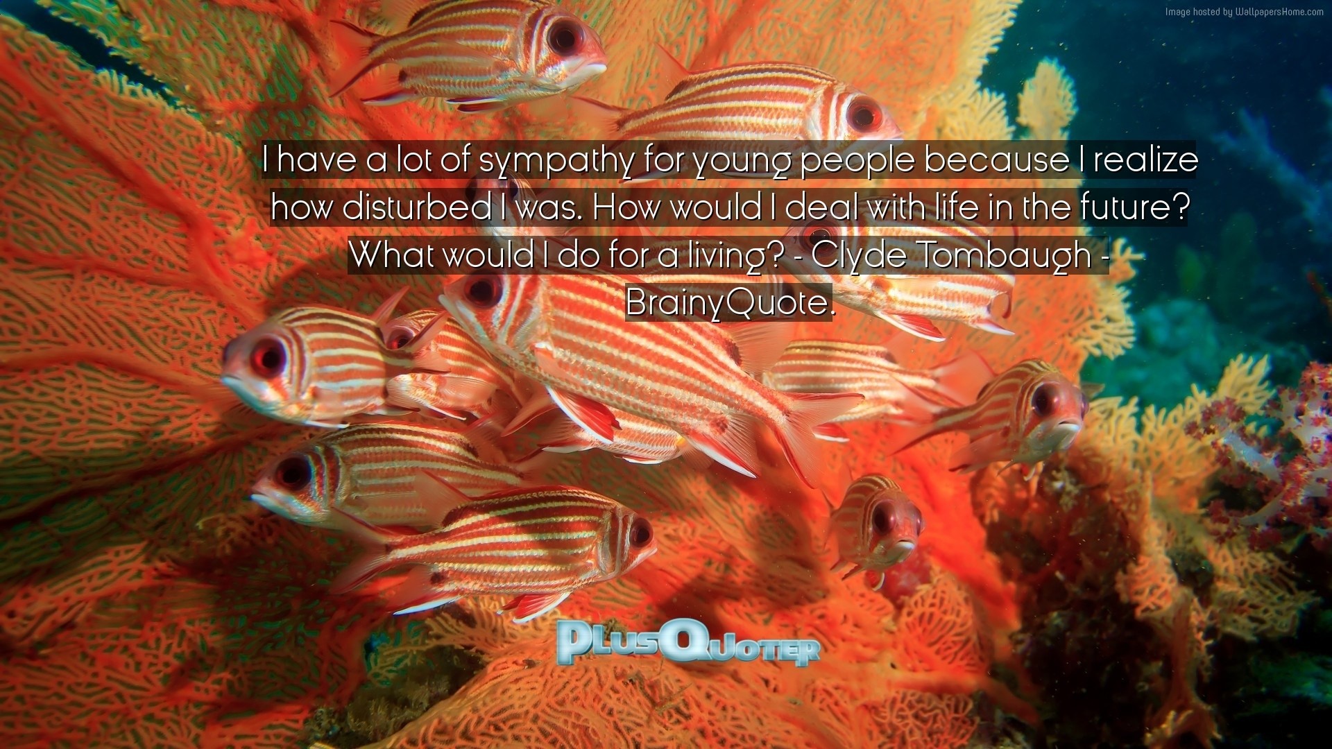 1920x1080 Download Wallpaper with inspirational Quotes- "I have a lot of sympathy for  young people