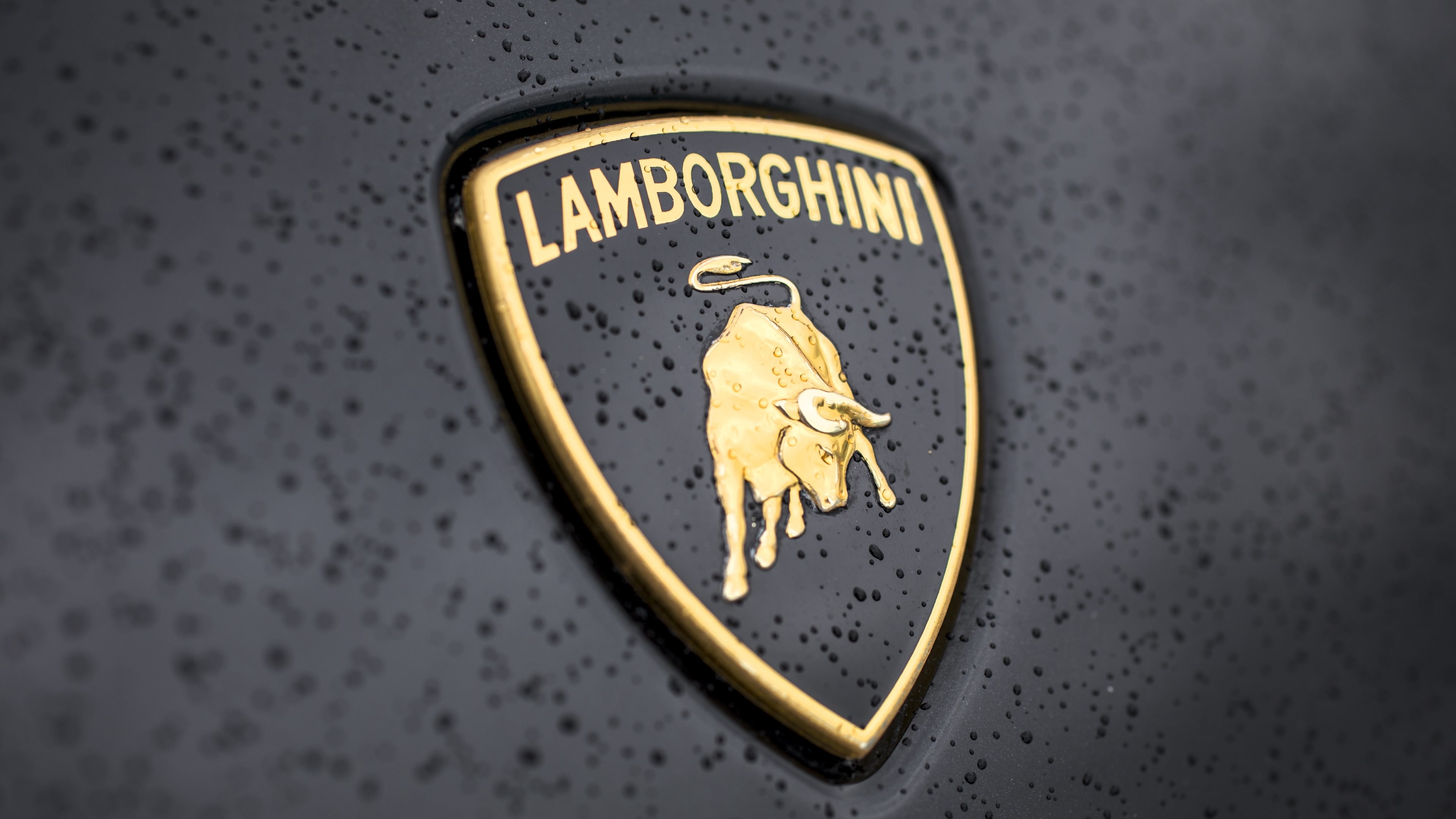 3840x2160 Lamborghini logo wallpaper HD download.