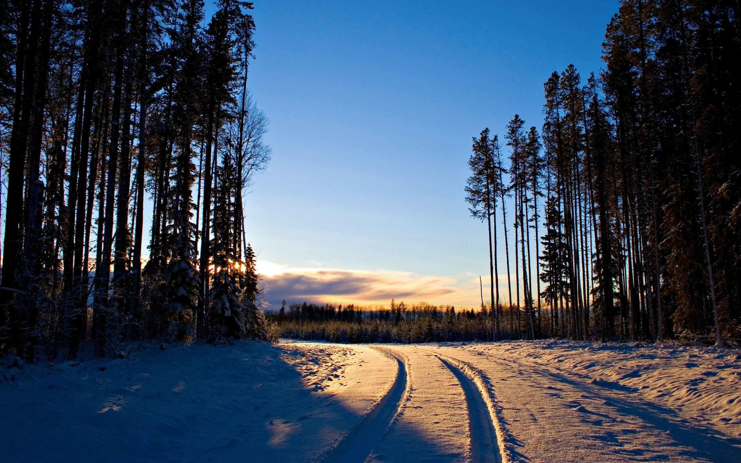 2560x1600 Landscapes Winter Landscape Nature Snow HD Wallpapers Desktop