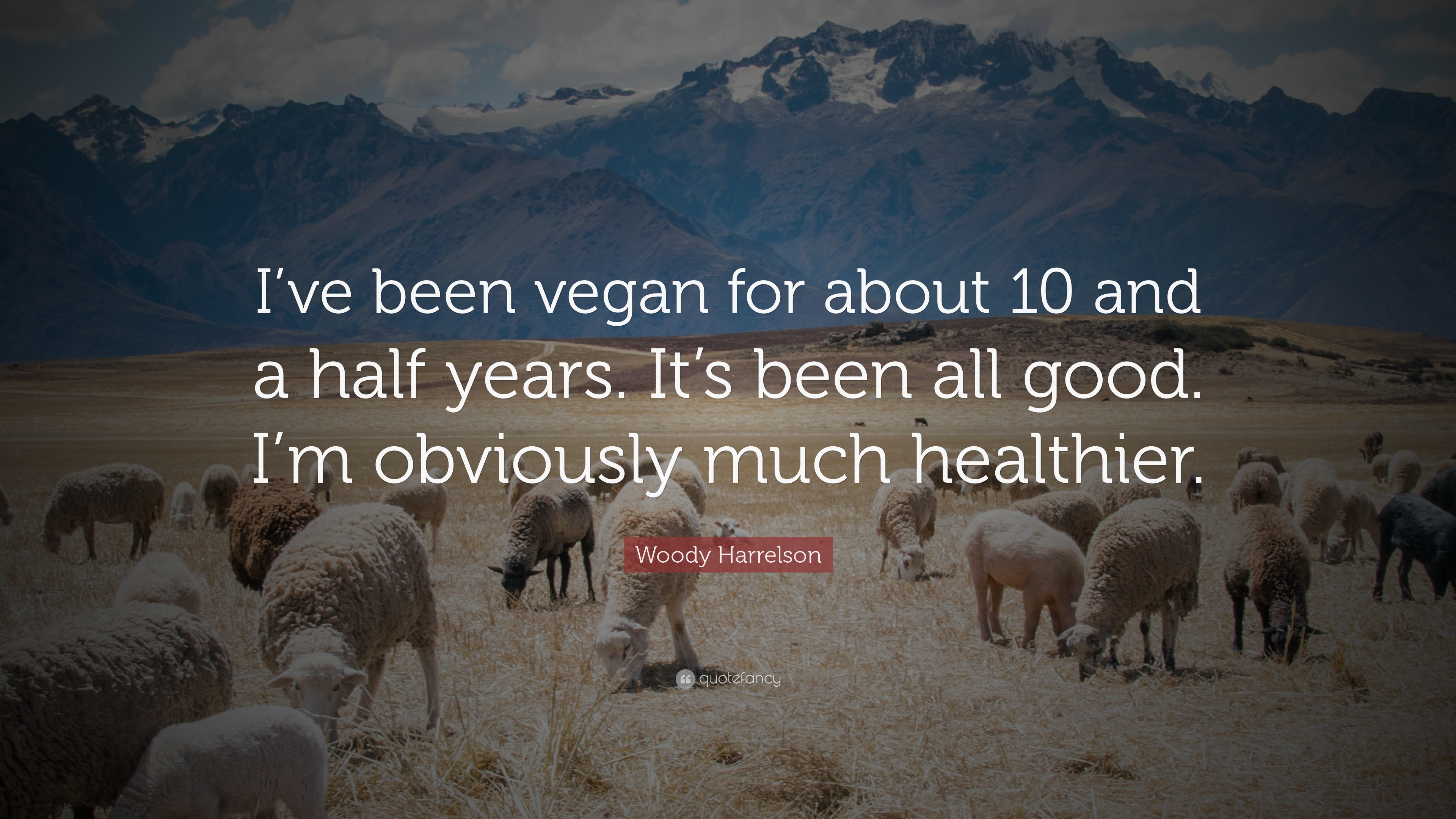 3840x2160 Woody Harrelson Quote: “I've been vegan for about 10 and a half