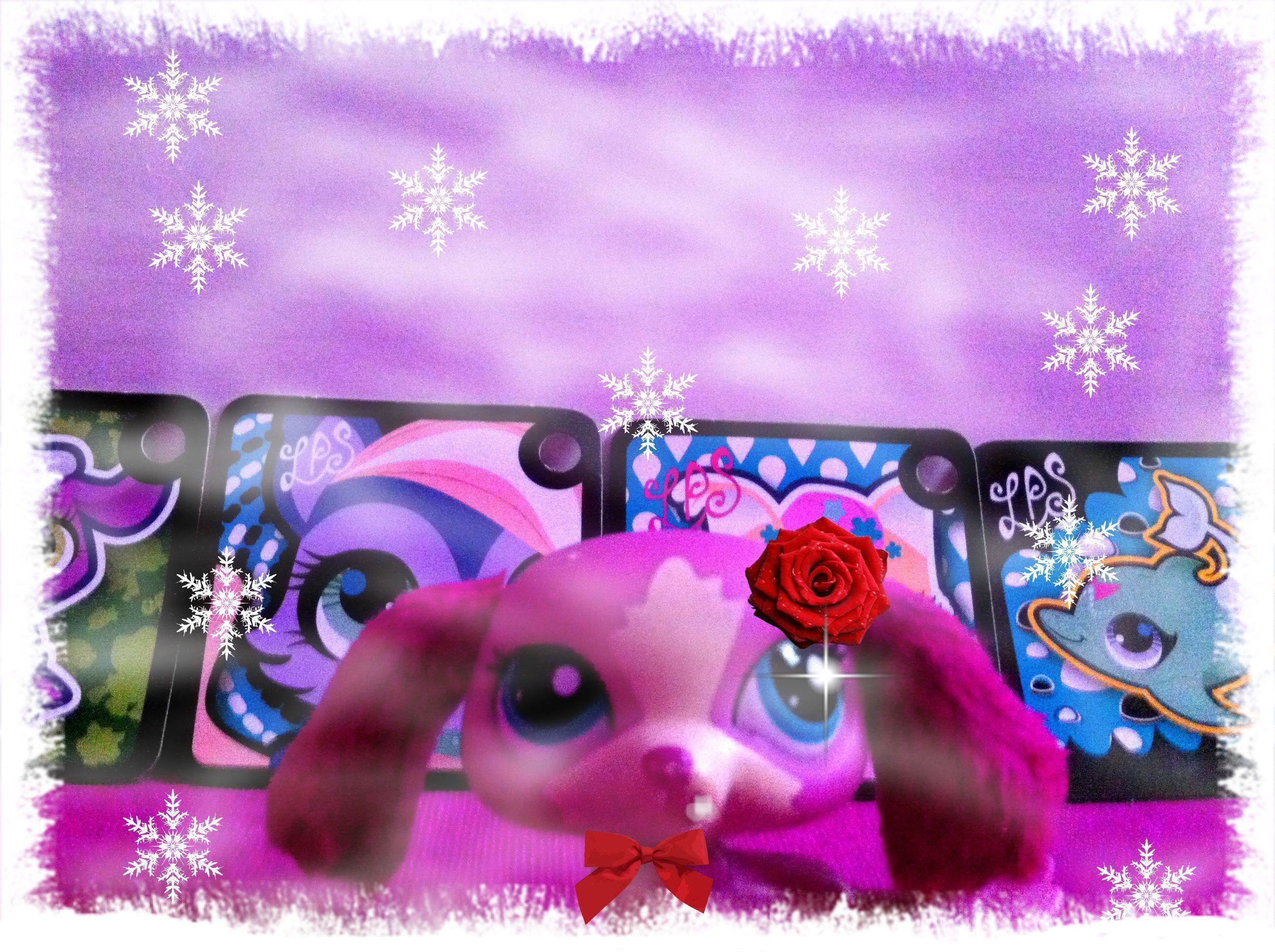 2592x1936 Littlest Pet Shop Club images Lps HD wallpaper and background .