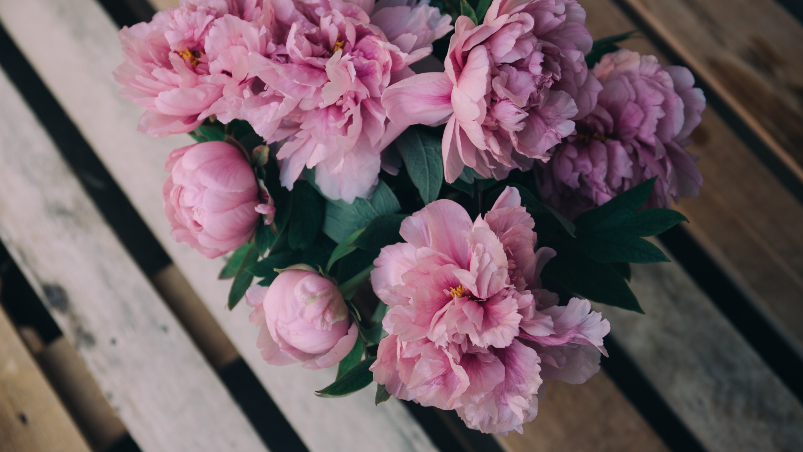 2560x1440 Preview wallpaper peonies, flowers, bouquet, pink 