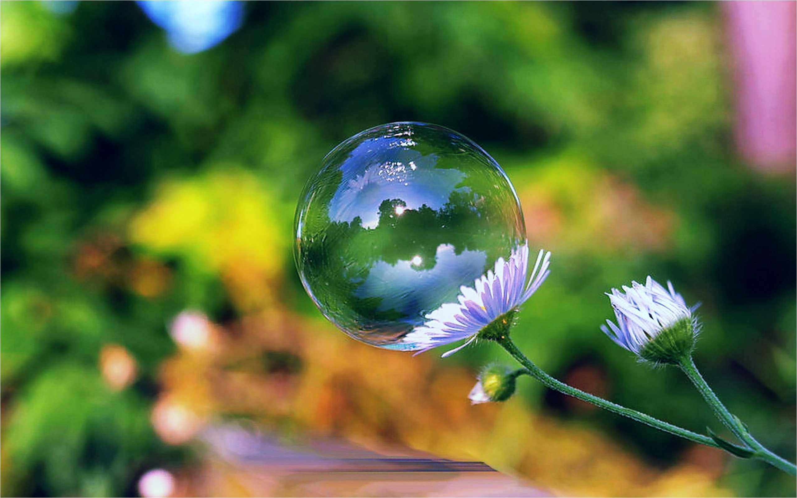 2562x1602 Awesome Bubbles HD Wallpaper Pack 927 | Free Download