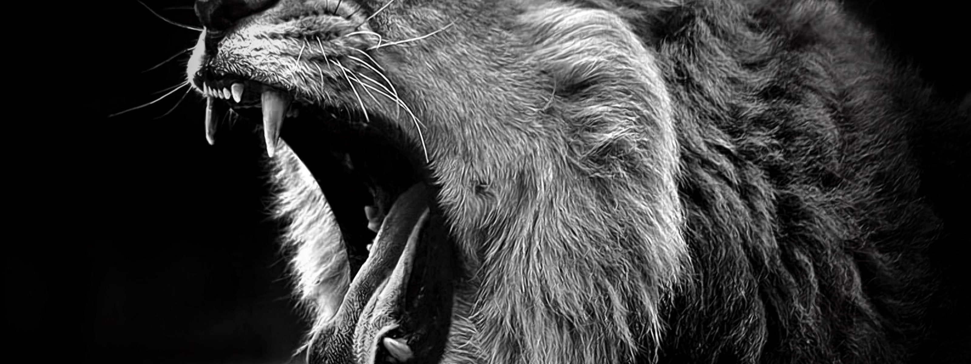 3200x1200 Lion wallpaper black and white hd - photo#19