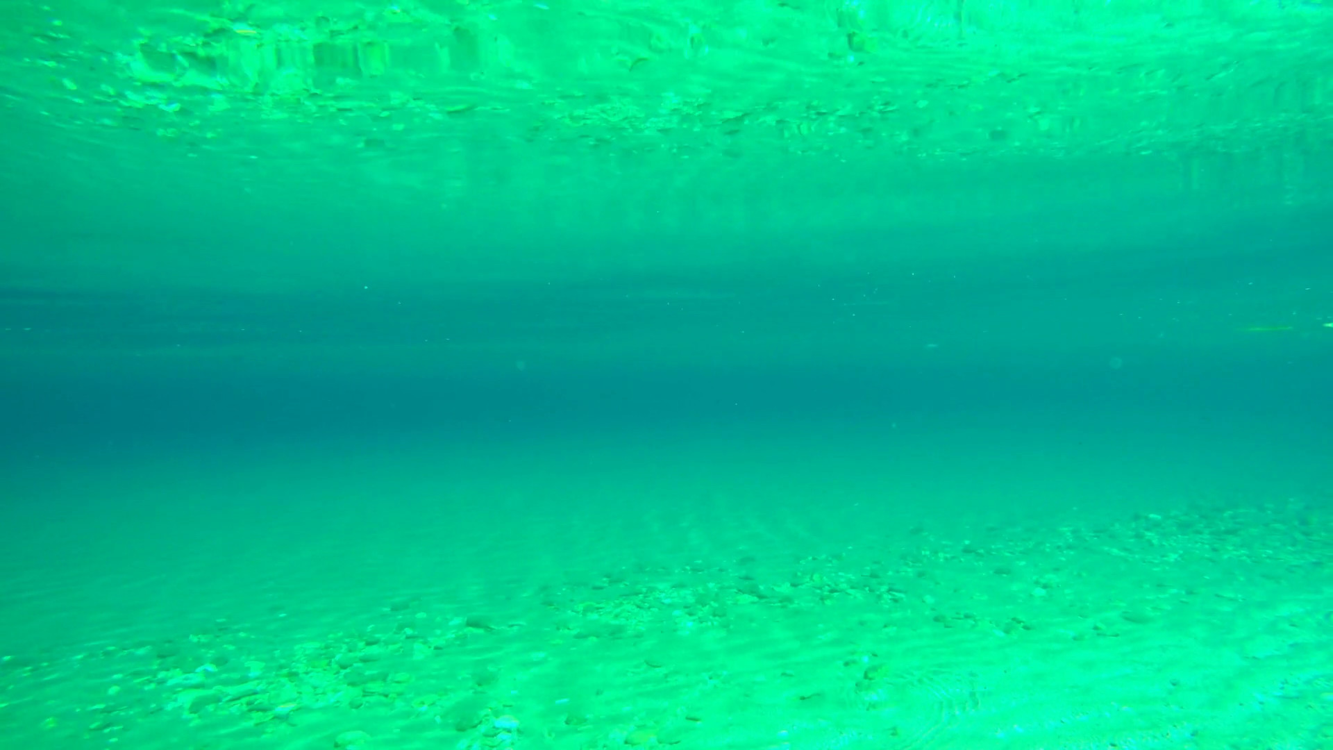 1920x1080 Beautiful clear underwater sea green turquoise calm water surface pebbles  bottom diving out summer sunny day