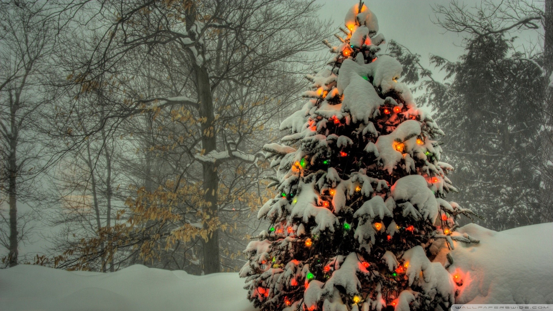 1920x1080 christmas_tree_outside-wallpaper- Â· Hanging Christmas Balls