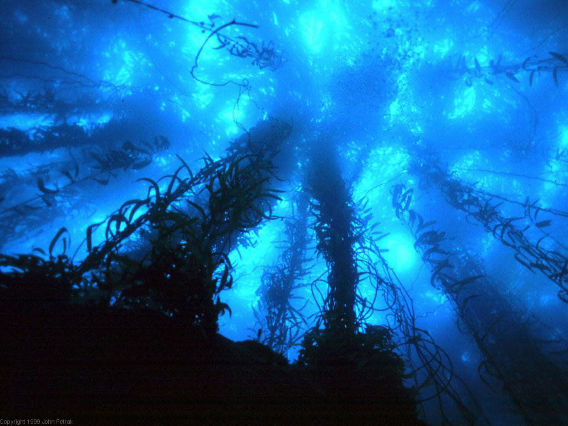 1920x1440 blue deep ocean deep blue wallp page 1282 deep sea