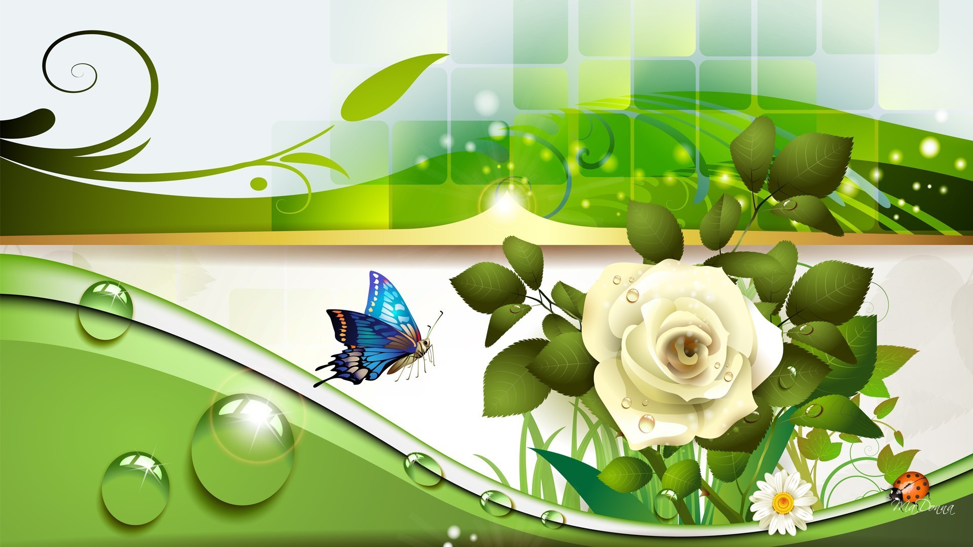 1920x1080 Download Papillon White Dew Flowers Ladybug Fresh Summer Daisy Fleur  Abstract Lady Rose Bug Leaves Spring Roses Water Butterfly Beauty Flower  Wallpaper Full ...