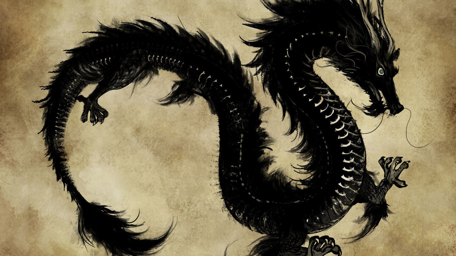 1920x1080 Black-chinese-dragon-wallpapers