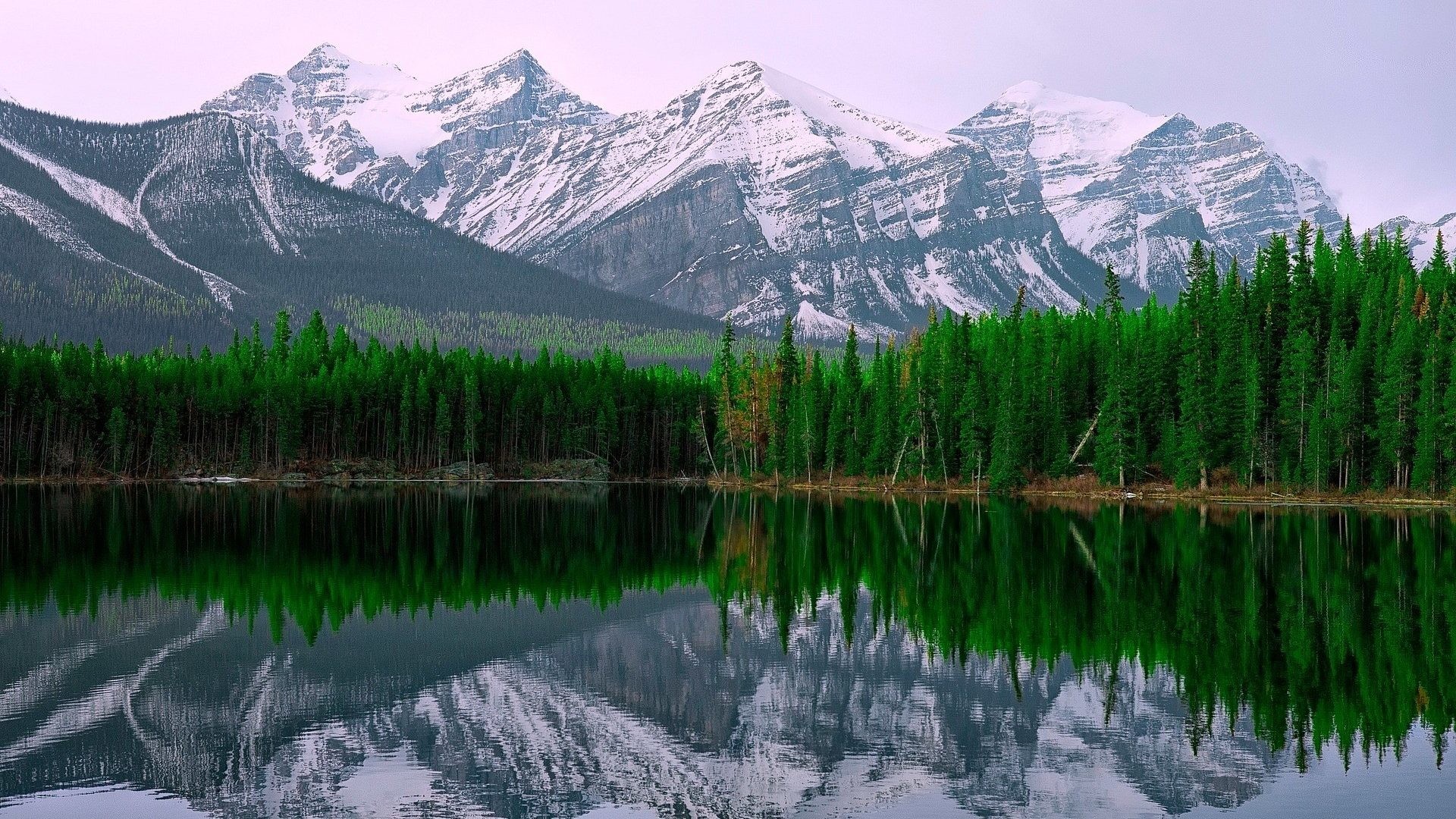 1920x1080 Lake Louise Alberta Canada Forest Mountains Nature Reflection Desktop  Wallpapers