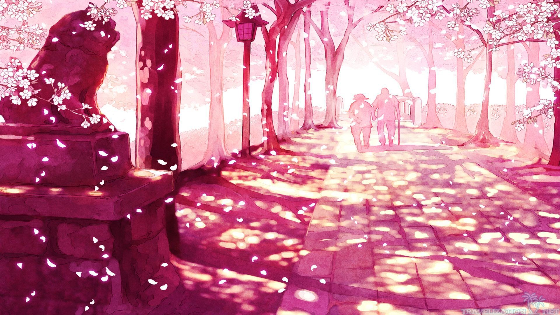 1920x1080 Sakura Cherry Blossom HD desktop wallpaper High Definition