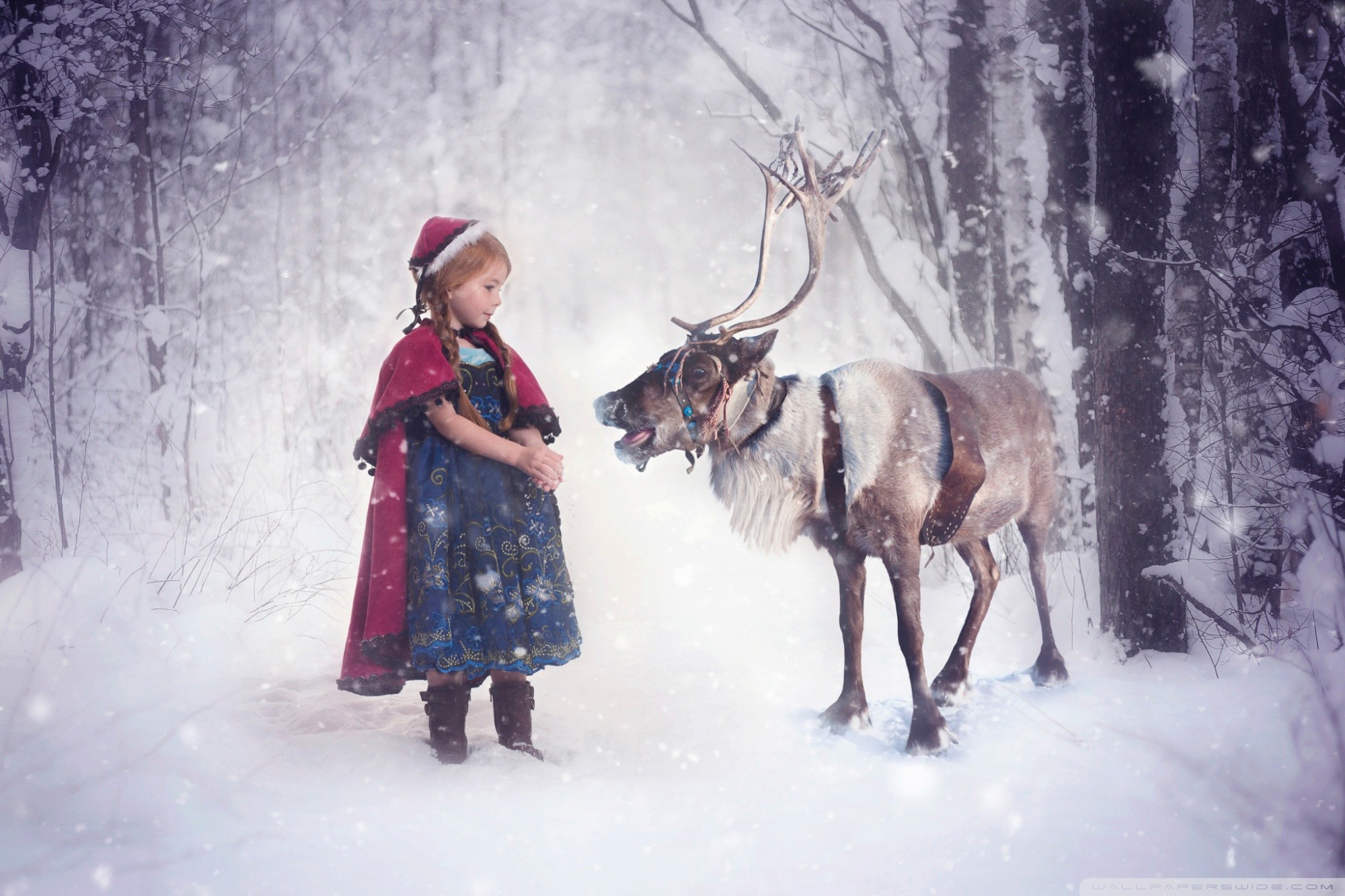 2000x1333 Christmas Elf And Reindeer HD Desktop Wallpaper : Widescreen .