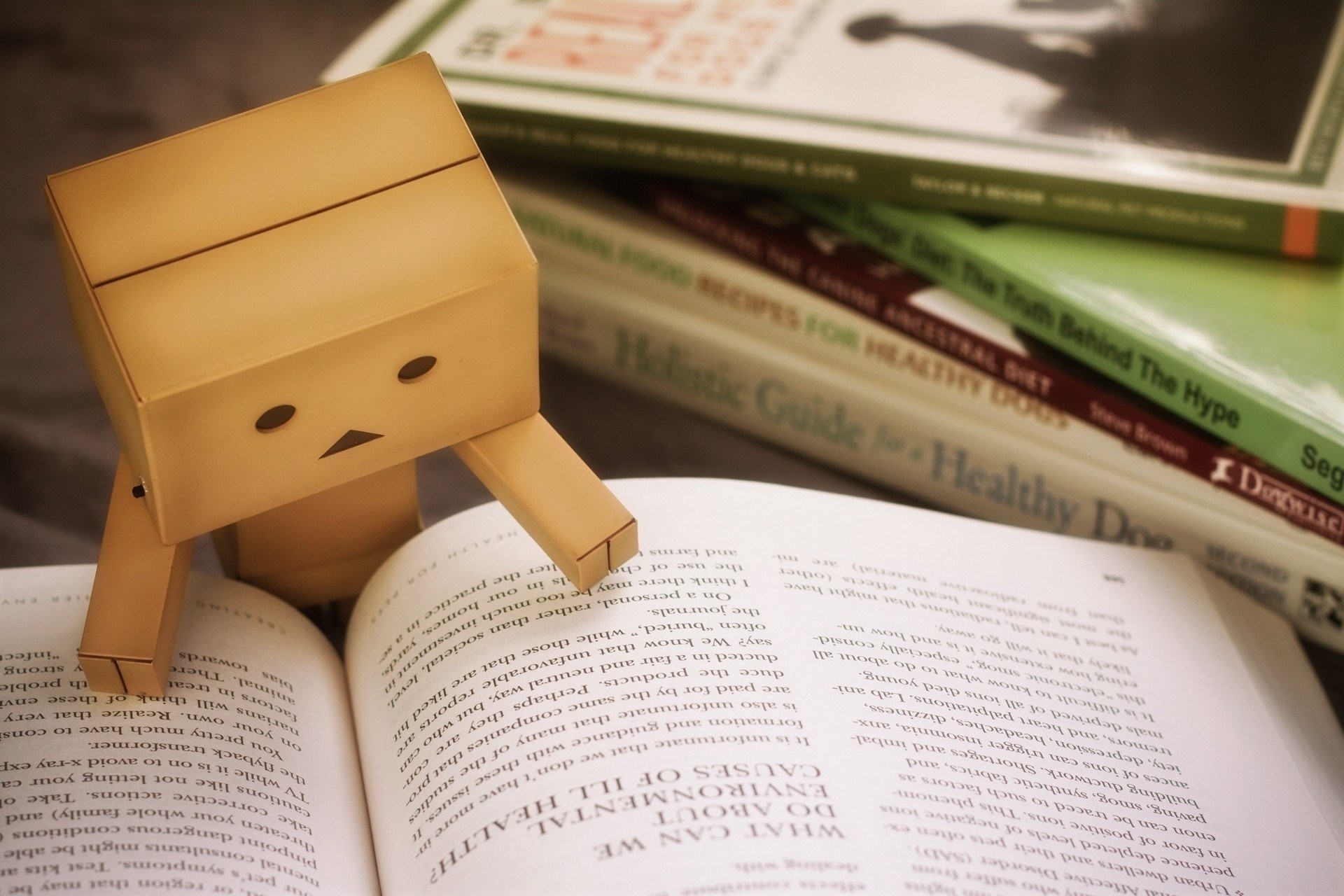 1920x1280 book study danbo cardboard man toys read