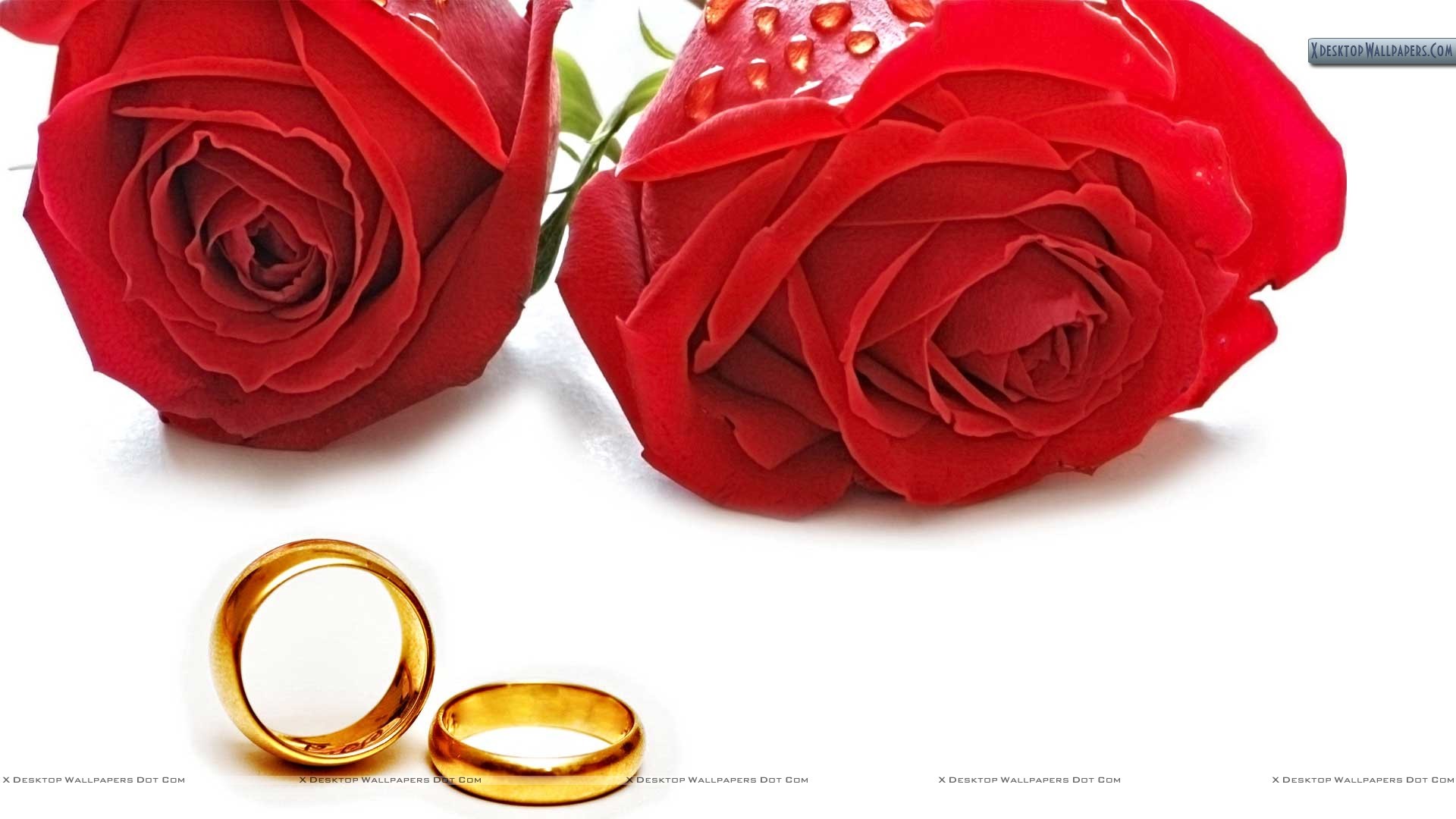 1920x1080 Pin Wedding Anniversary Wallpaper Backgrounds Red Roses And Golden on  