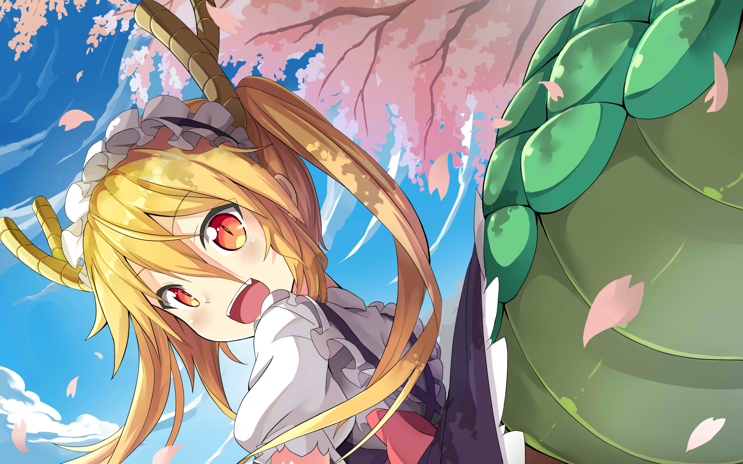 2893x1808 HD Wallpaper | Background ID:824430.  Anime Miss Kobayashi's Dragon  Maid