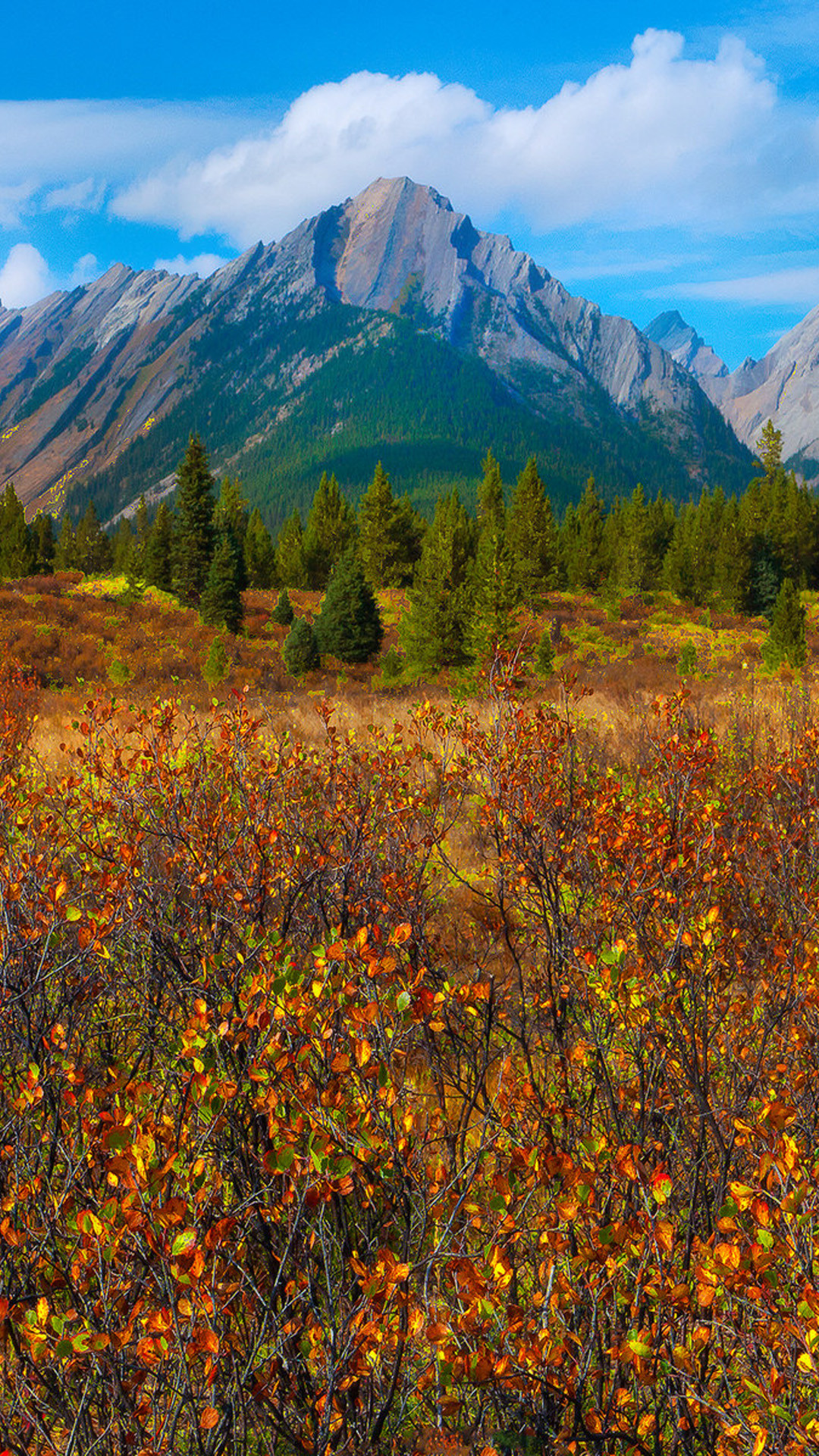 1080x1920 Wallpaper Weekends: Fall has Dell - Autumn Wallpapers for the iPhone ...