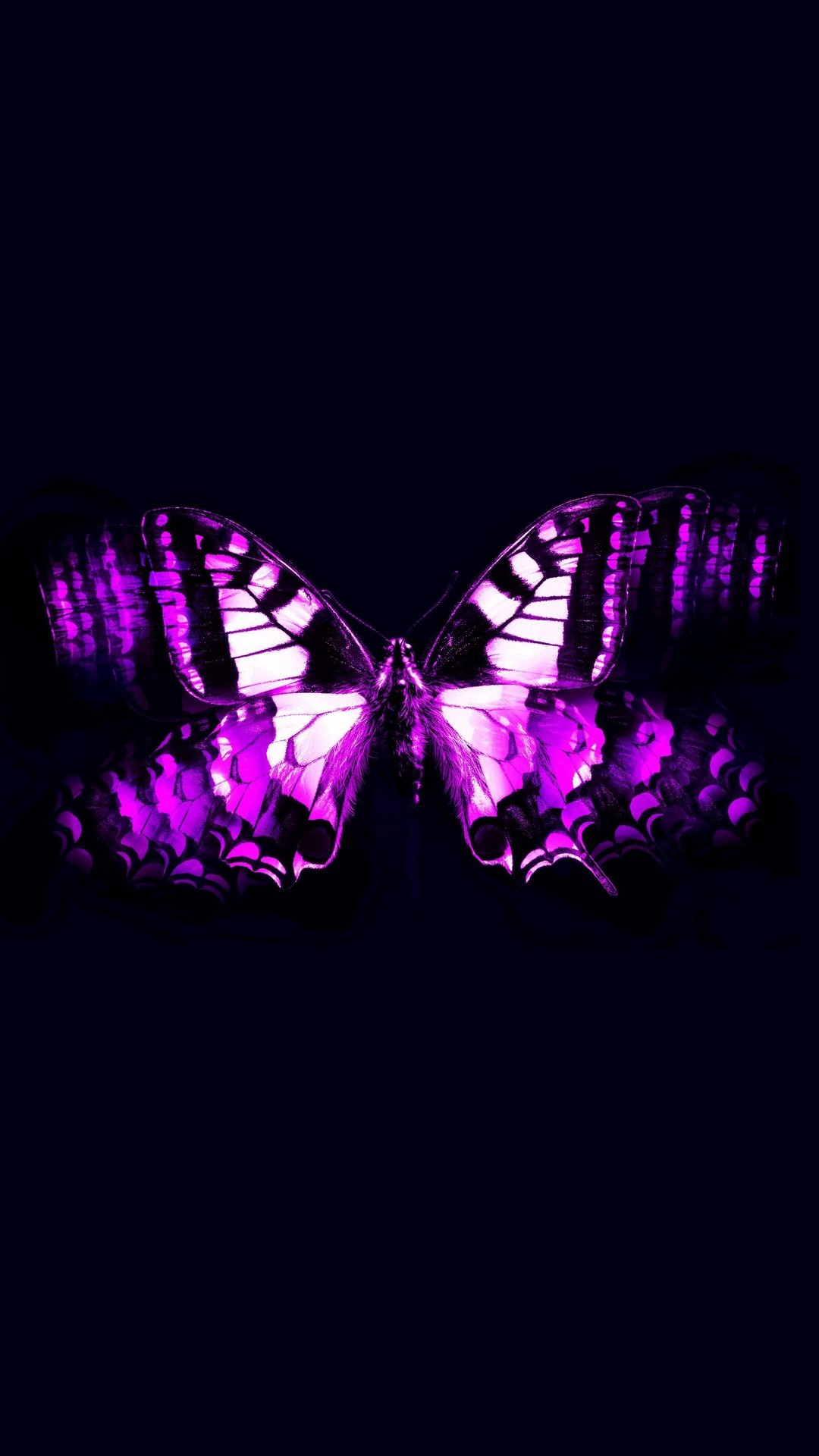 1080x1920 iPhone Wallpaper Purple Butterfly resolution 