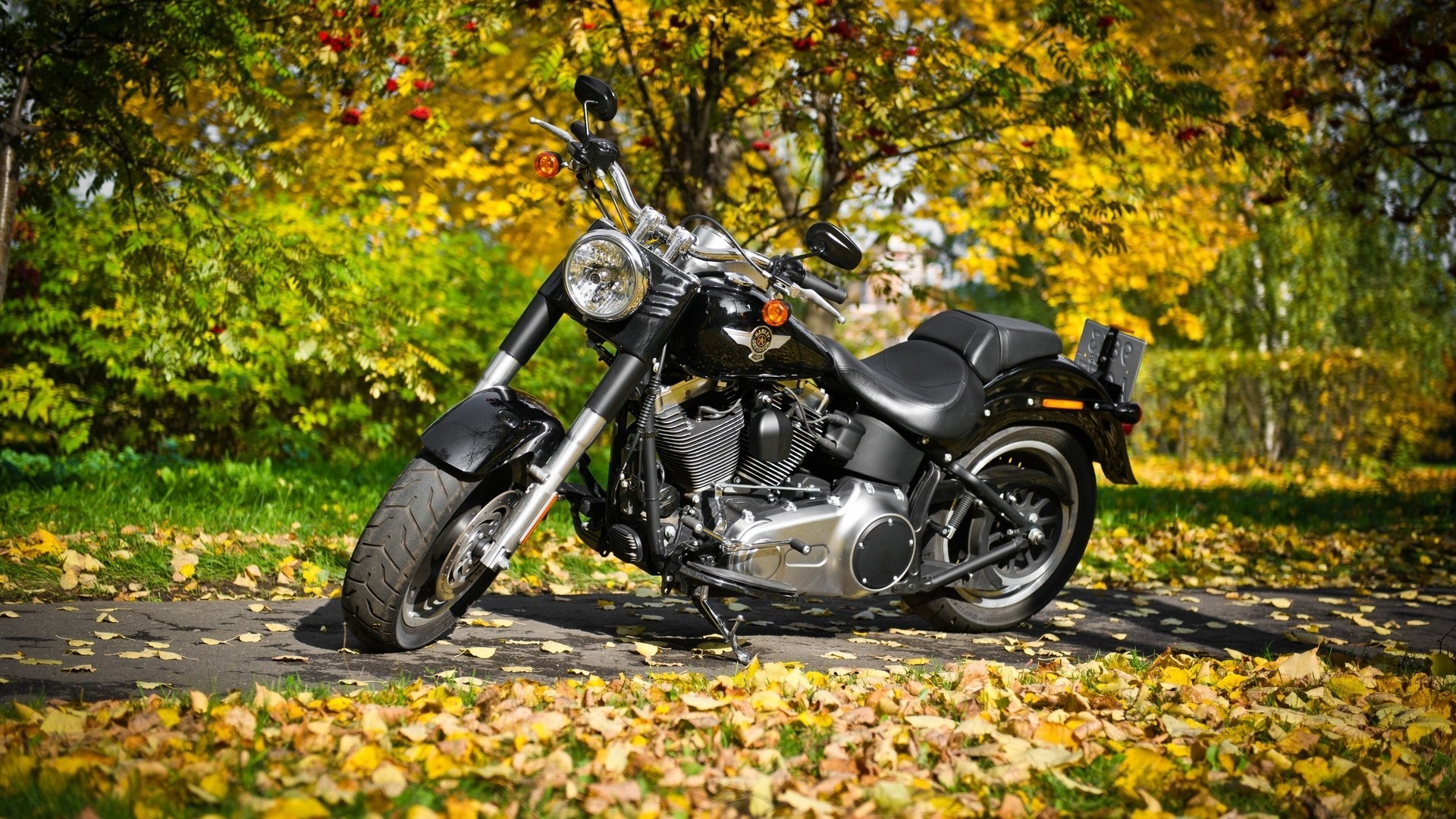 1920x1080 Harley Davidson Bikes Natural Desktop Full HD Wallpapers