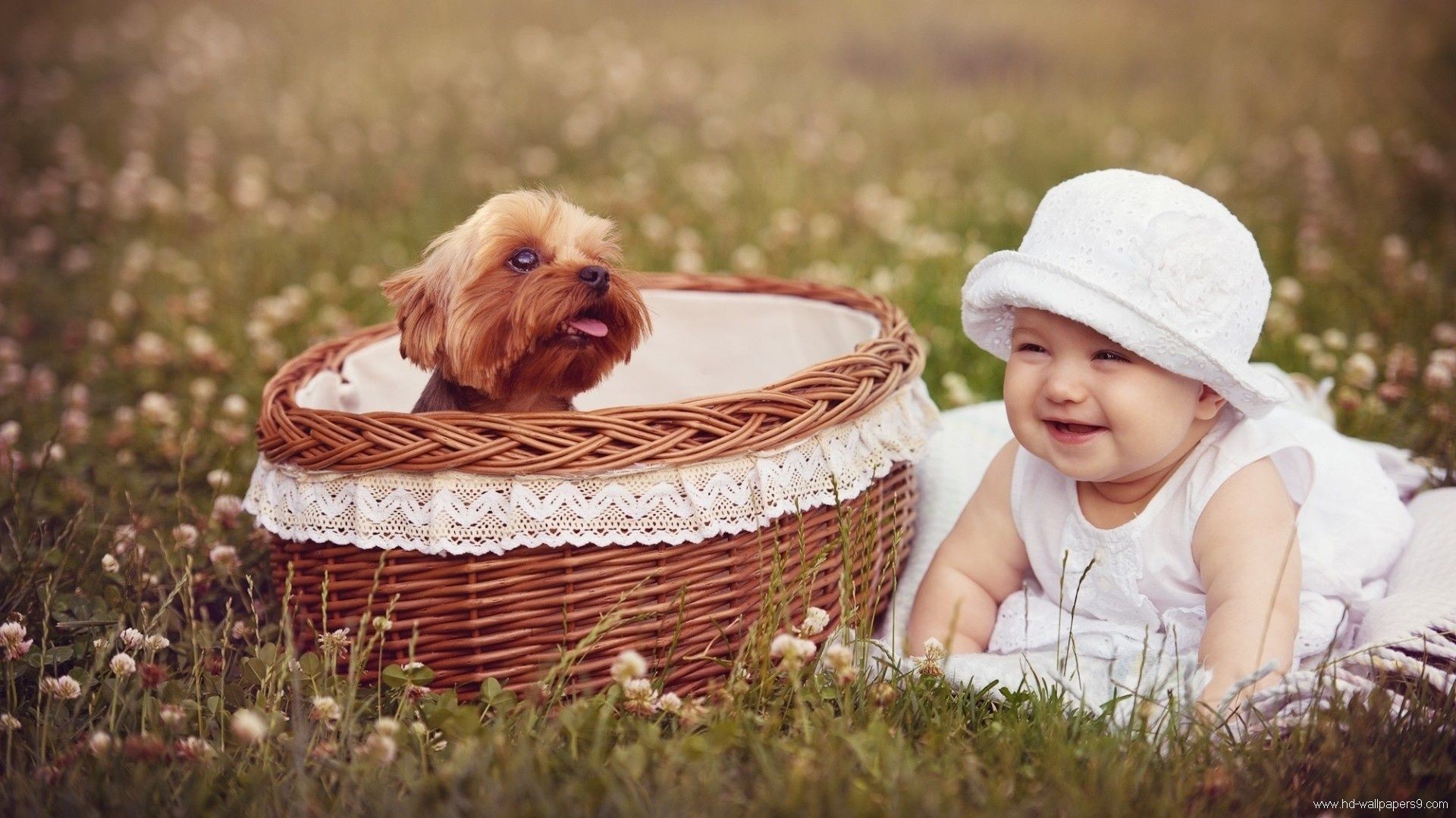1920x1080 ... 45 small and cute baby wallpaper download for free ...