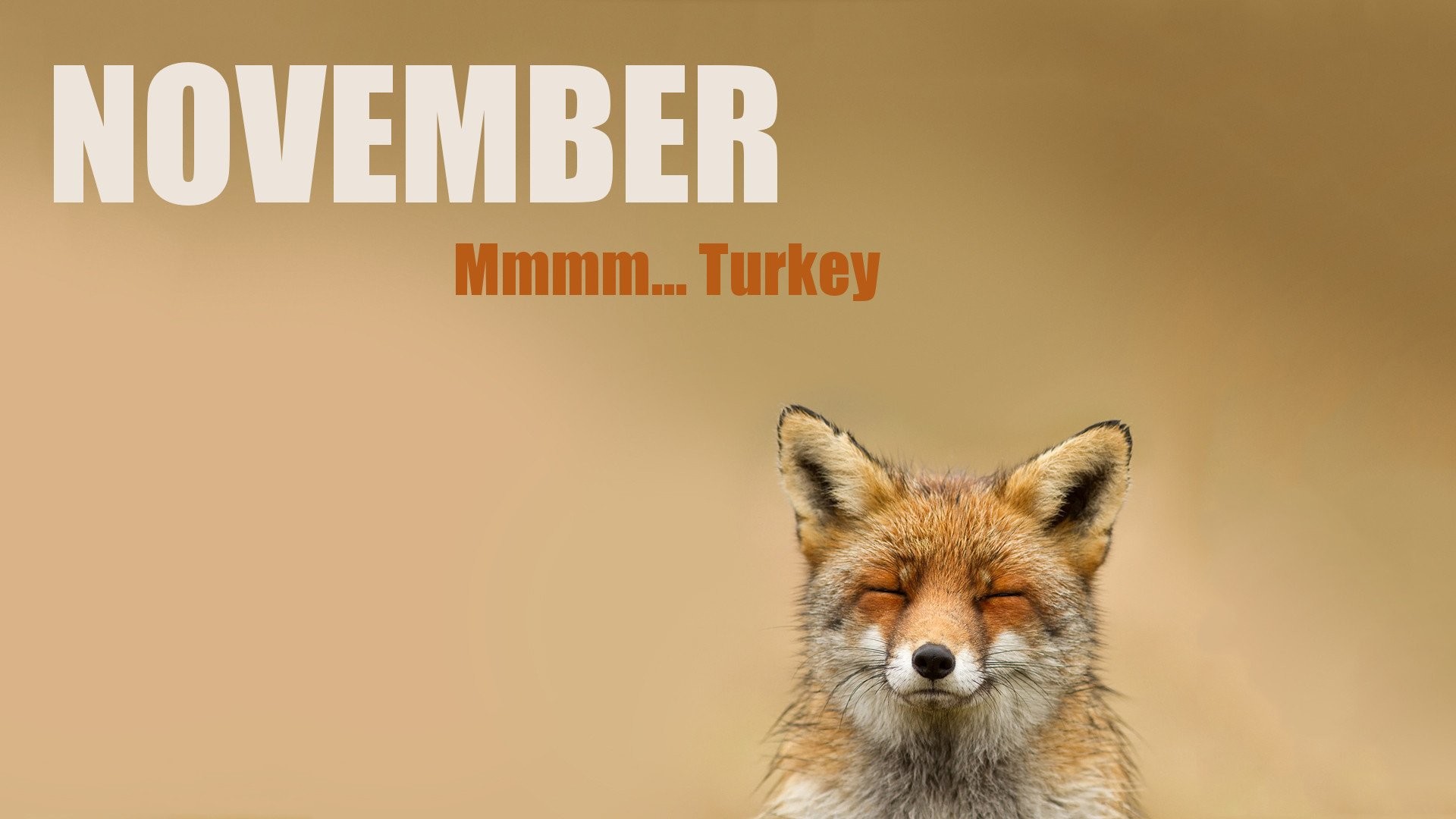 1920x1080 Thanksgiving Â· HD Wallpaper | Background ID:178242