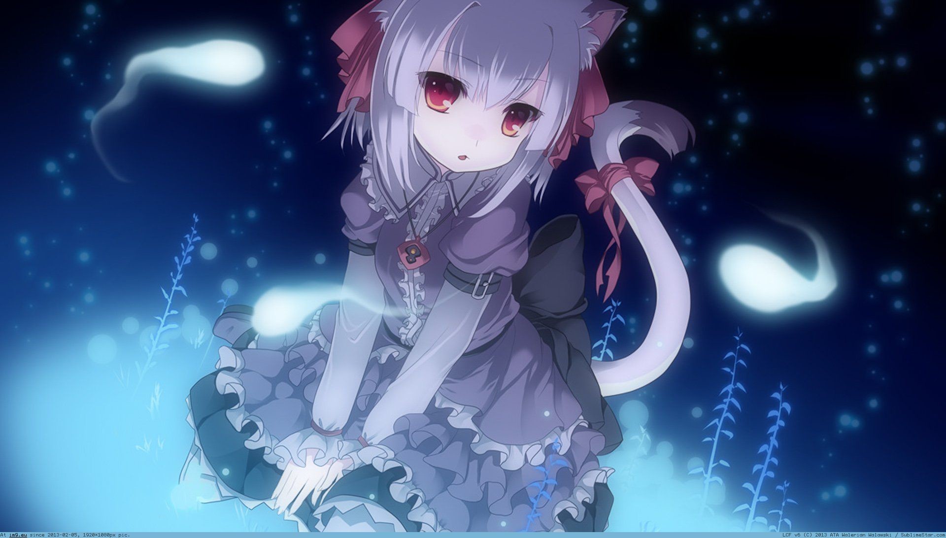 1920x1092 Anime Cat Wallpapers - Wallpaper Zone