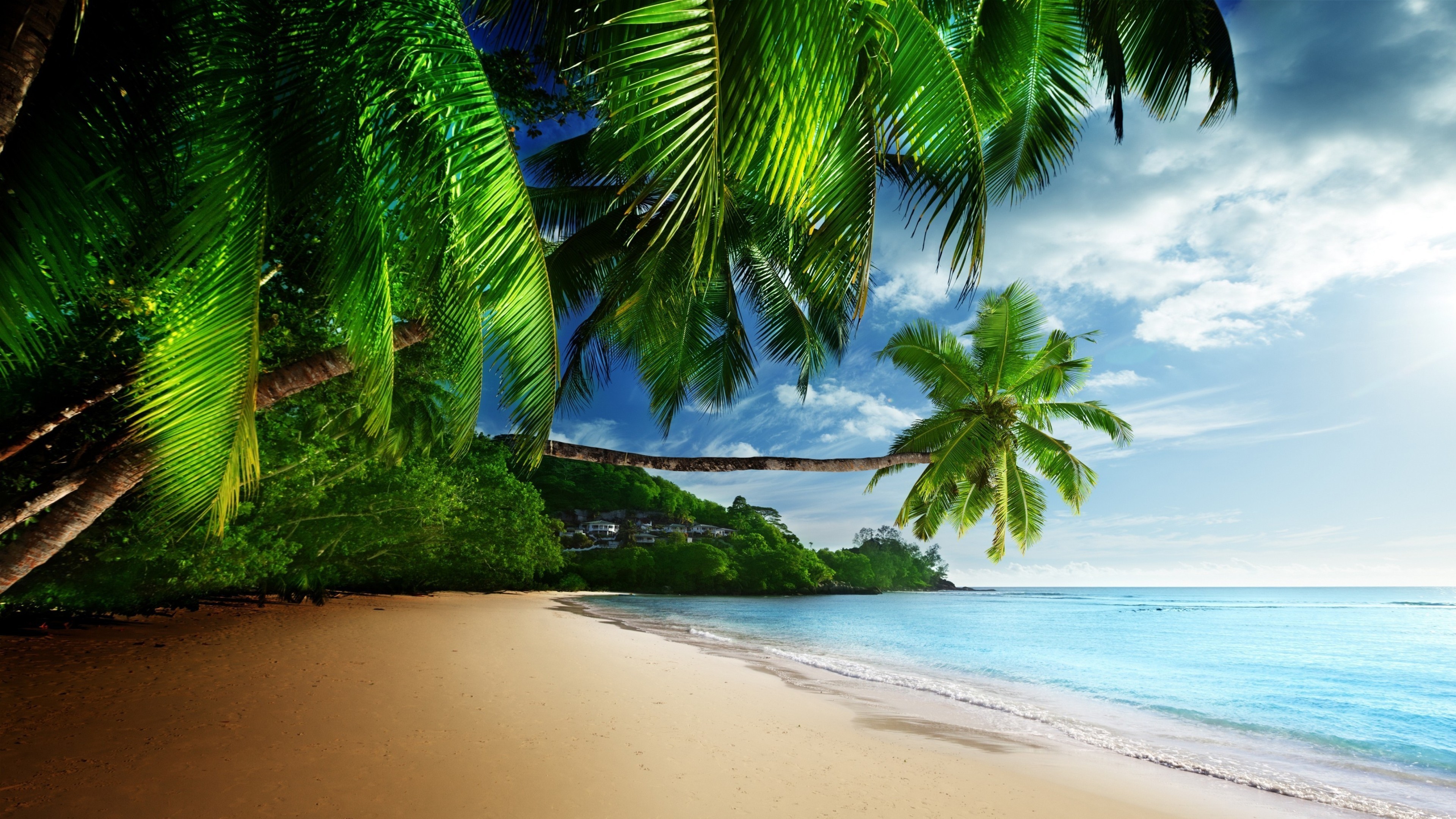 3840x2160 Tropical Beach 4K Ultra HD Wallpaper  768x432