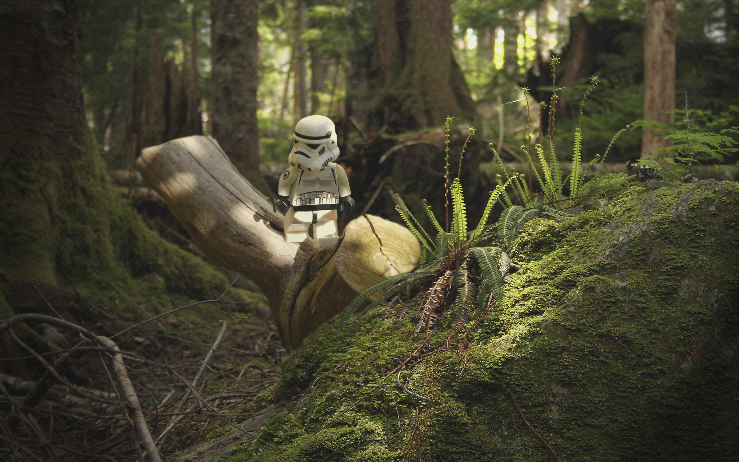 2560x1600 lego-stormtrooper-1080p-high-quality-lego-stormtrooper-category-