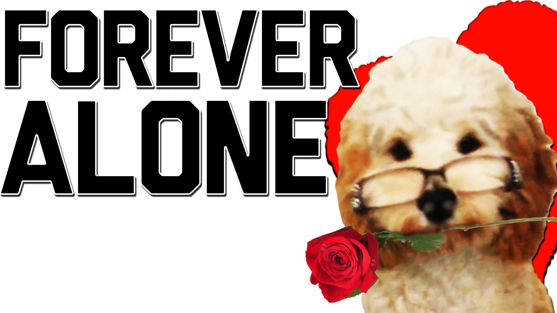 1920x1080 Valentine's Day Fails Compilation || Salute to Forever Alone by FailArmy -  YouTube