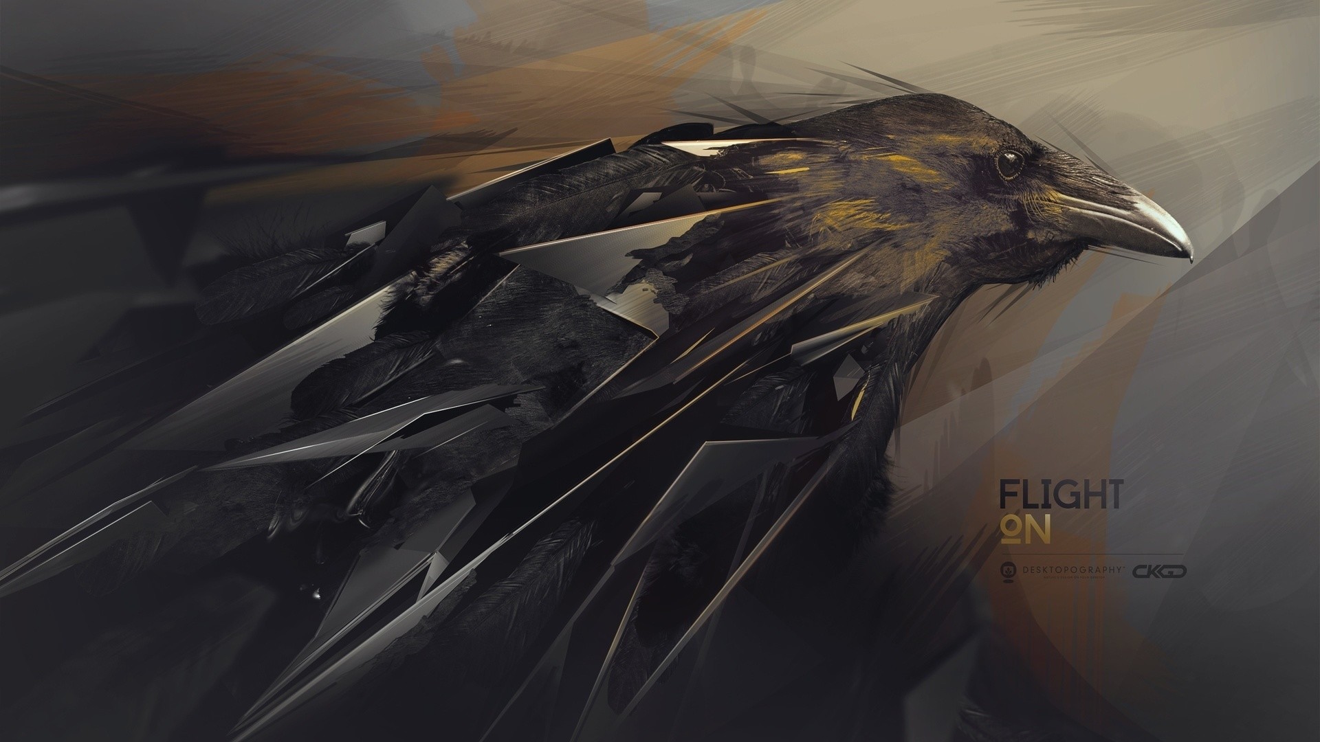 1920x1080 3d Images, Abstract, Wallpaper, Raven, 3d Wallpapers, 3ds, Abstraction,