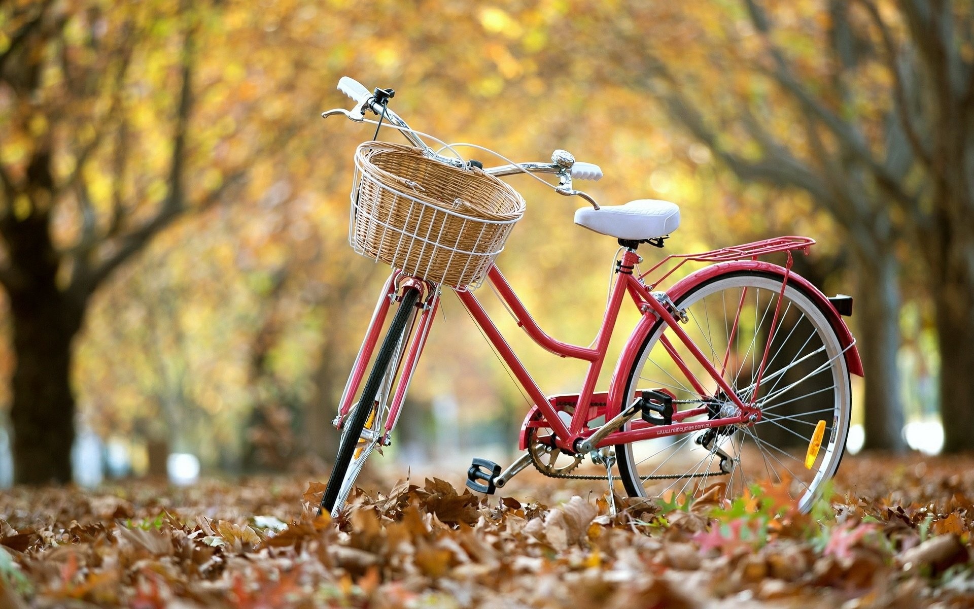 1920x1200 HD Wallpaper | Background Image ID:449541.  Vehicles Bicycle