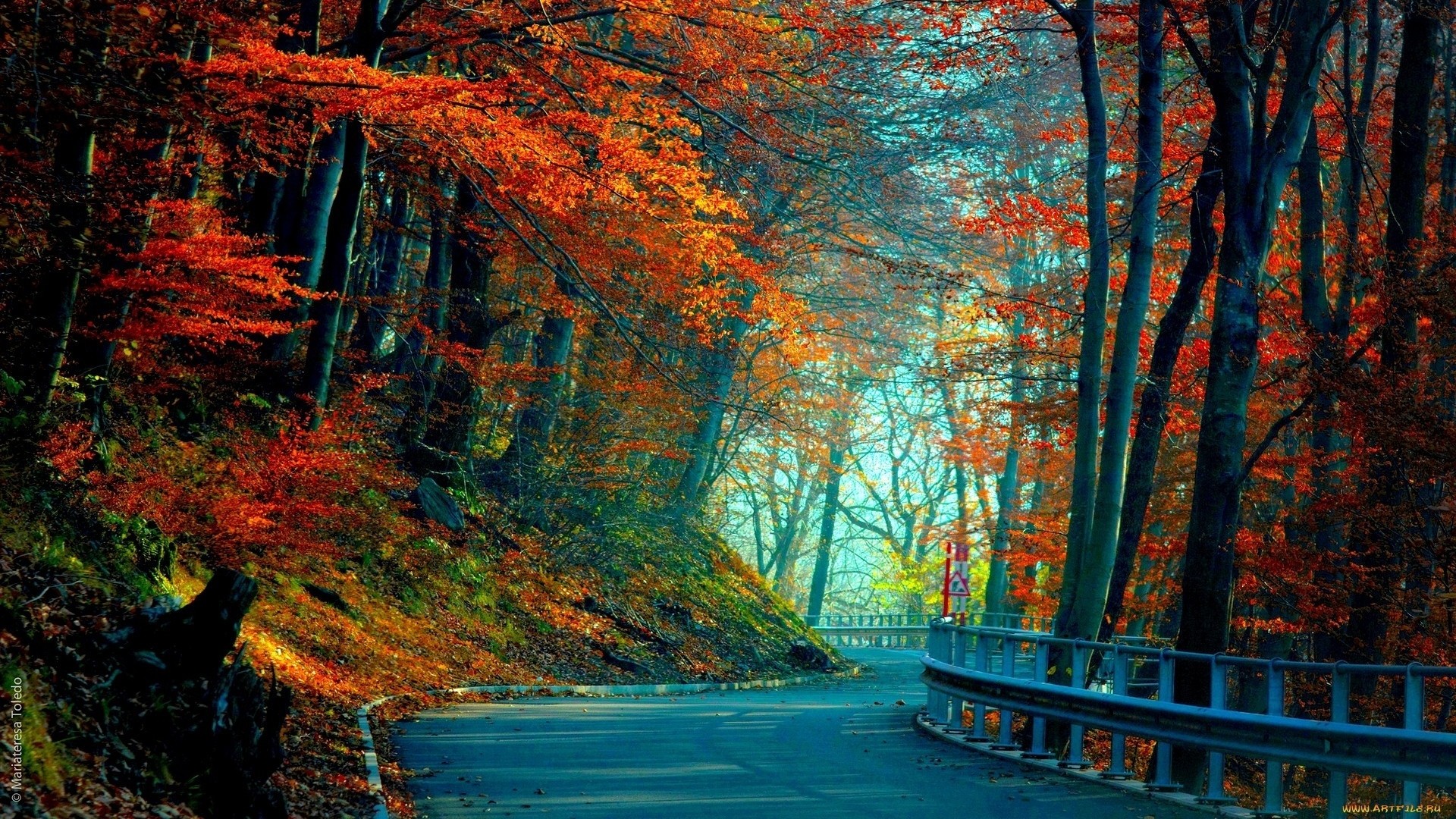 1920x1080  Wallpaper autumn, road, leaves