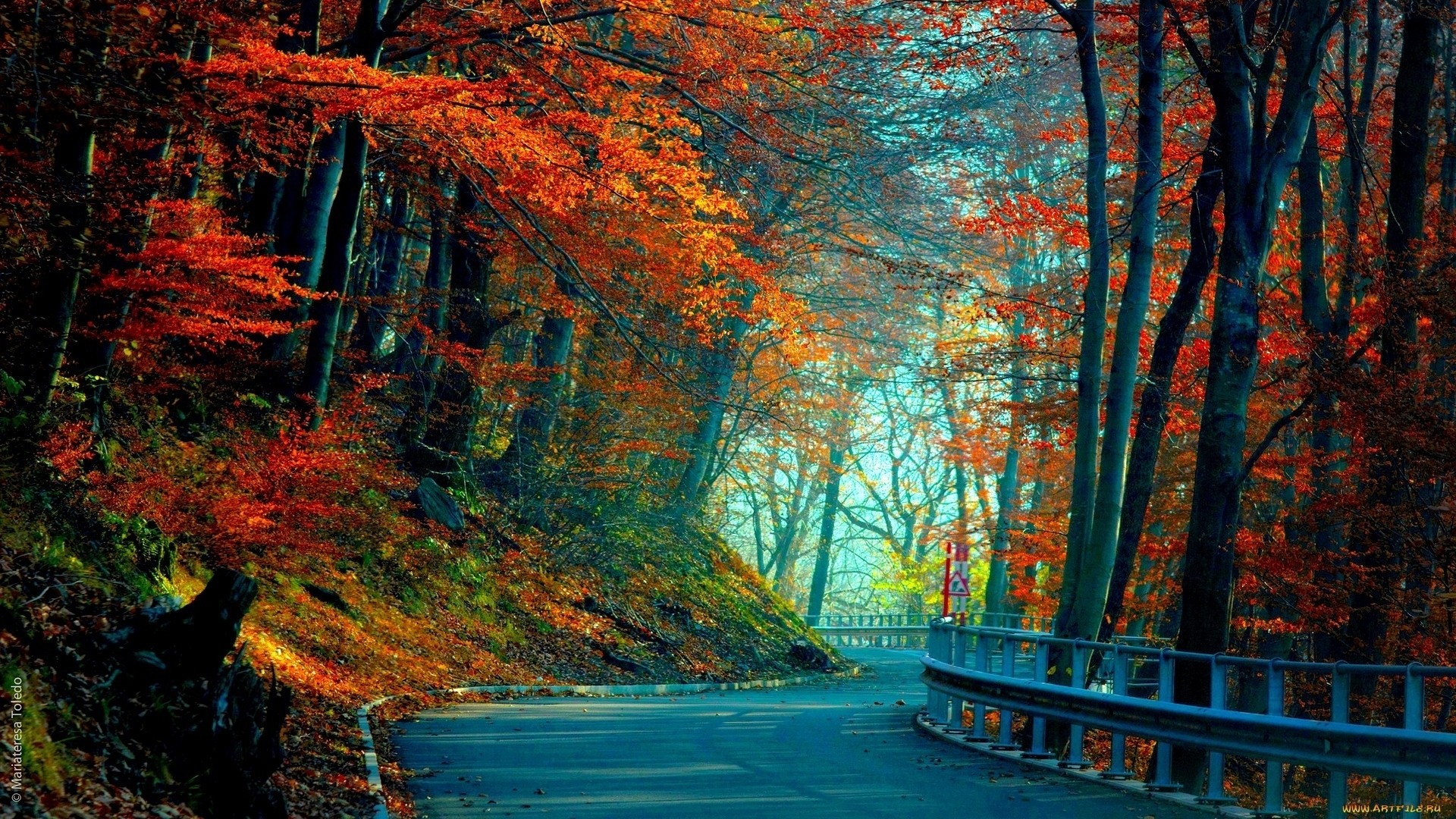 1920x1080 Fall Wallpaper 74 Images 1920x1080 Fall Wallpaper 74 Images