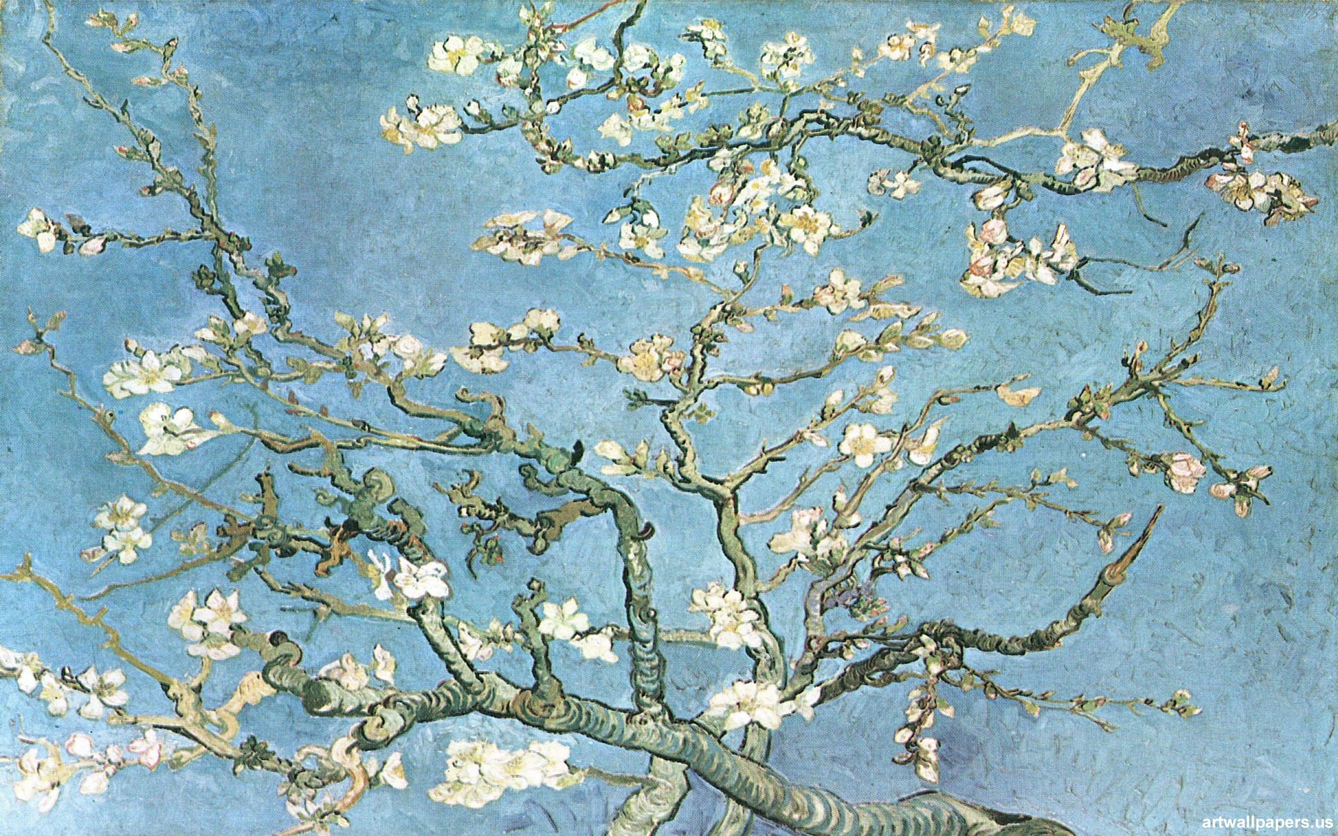 1920x1200 Almond Branches in Bloom, San Remy Wallpaper, c.1890 Vincent van Gogh