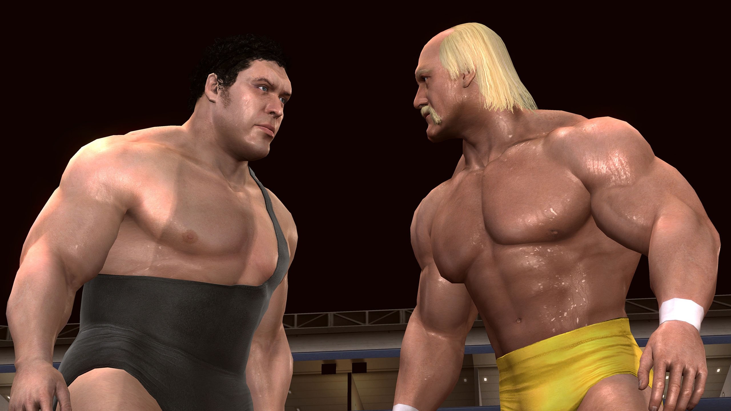 2560x1440 Hulk Hogan Vs Andre The Giant ...