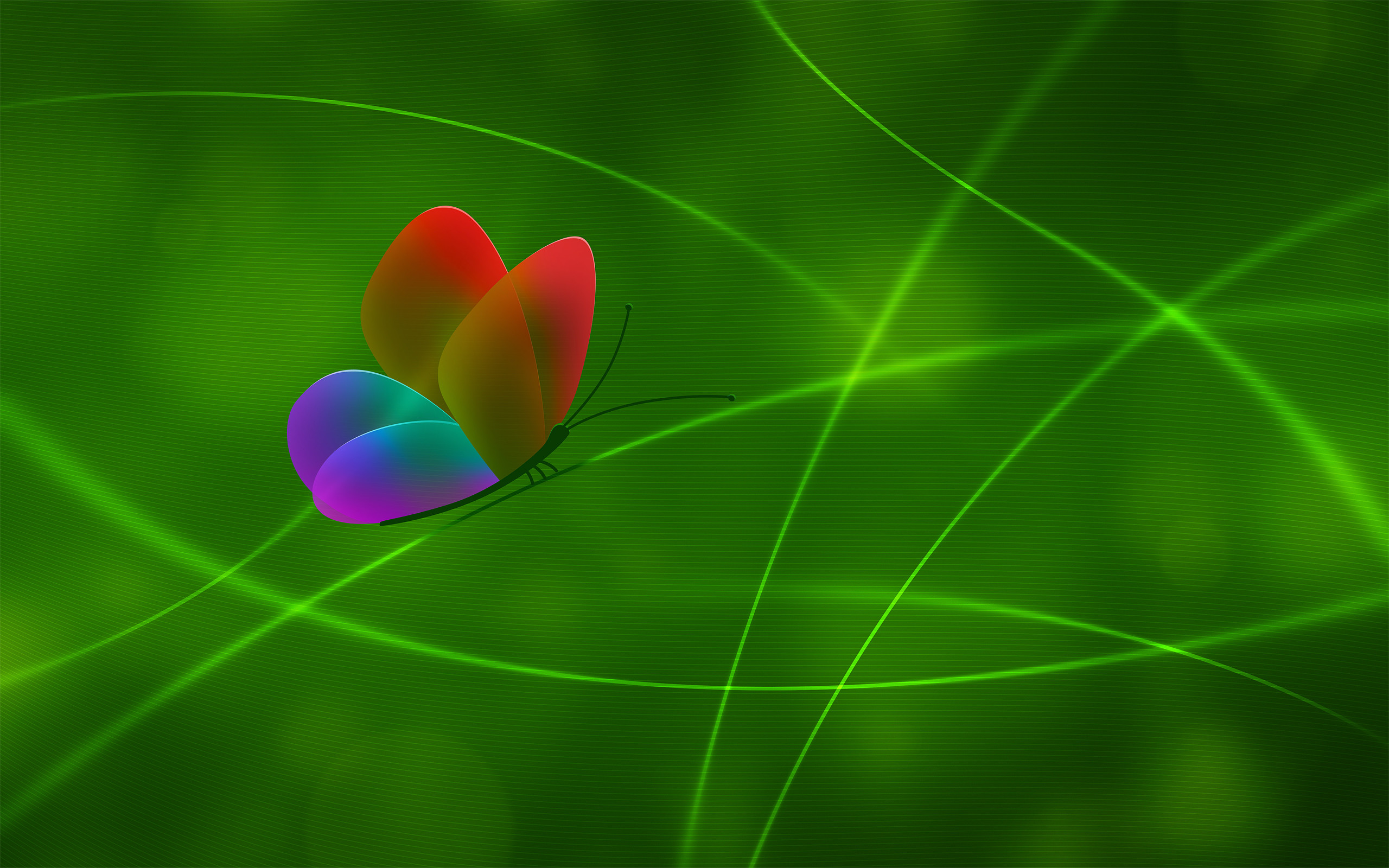2560x1600 Abstract Butterfly Green Lines - Image #2604 - Licence: Free for Personal  Use -