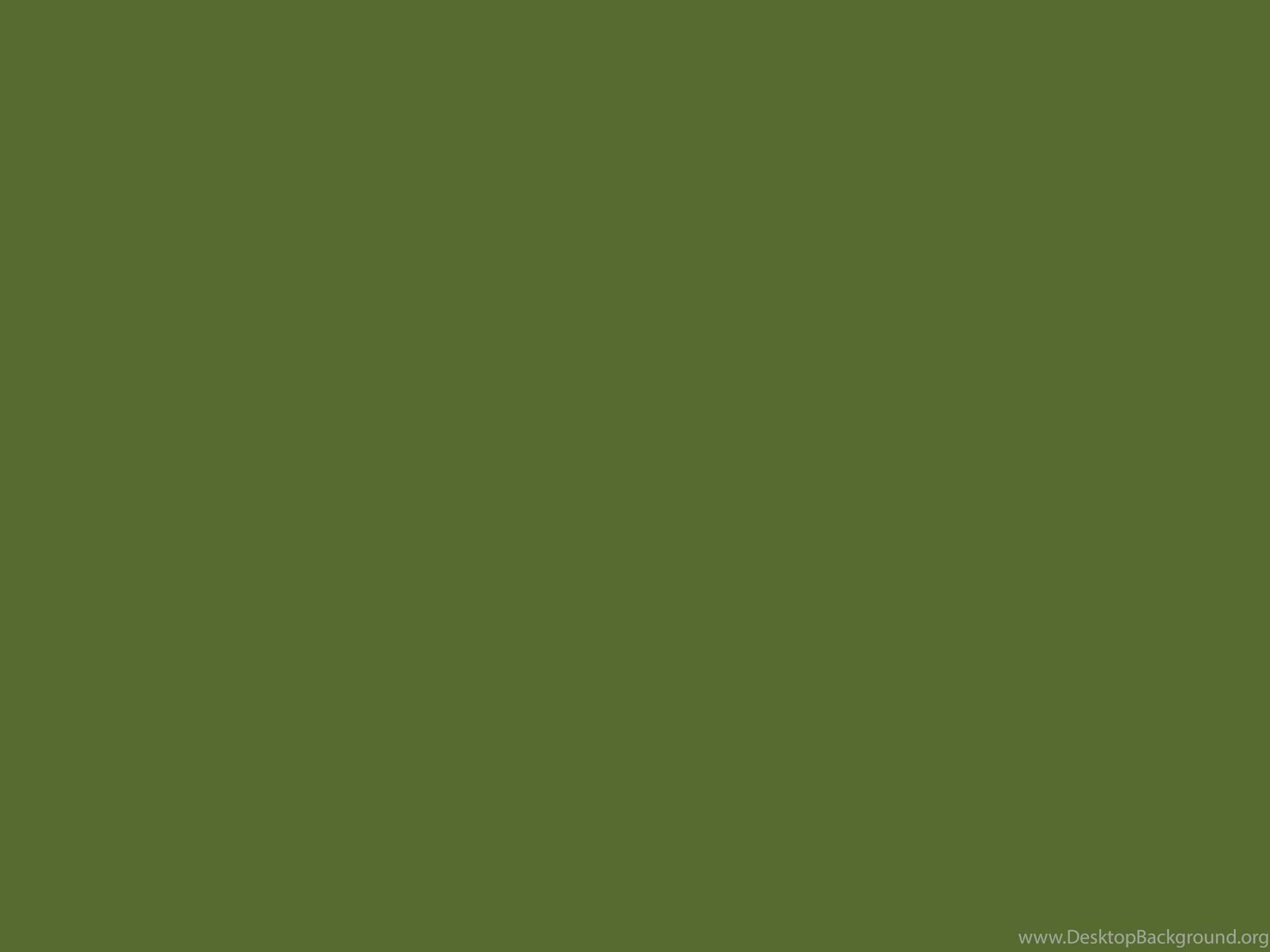 2000x1500 Olive Color Wallpaper Magnificent 2880x1800 Dark Olive Green solid Color Backgrounds  Desktop