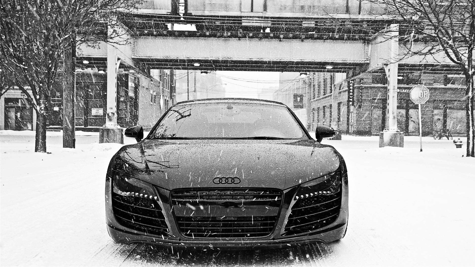 1920x1080 Black and White Audi in Snow HD Wallpaper in Full HD from the Cars  category. Tags: Audi Black and White, front view, snow, Winter