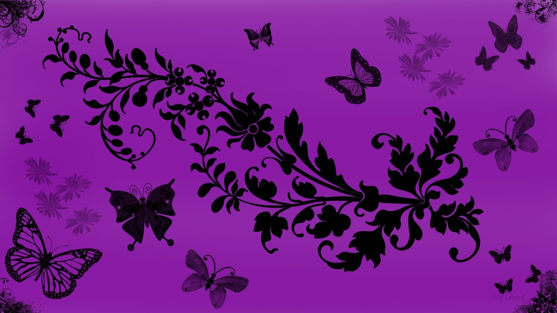 1920x1080 ... Purple Butterfly Desktop Background Wallpaper. Download