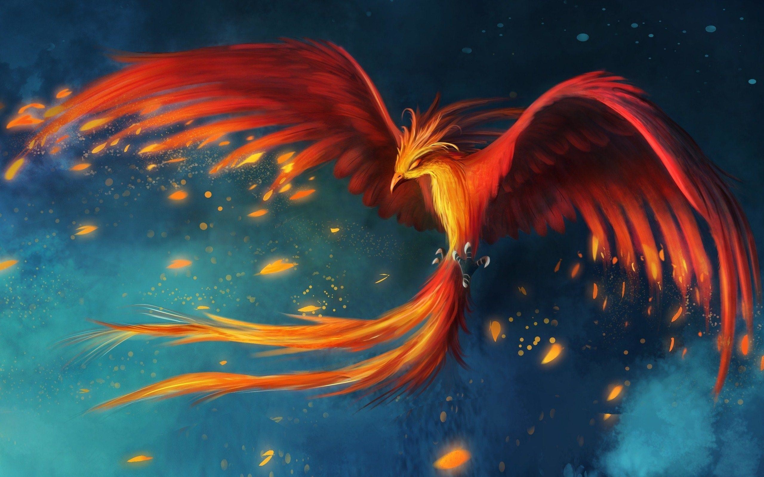 2560x1600 phoenix bird wallpaper