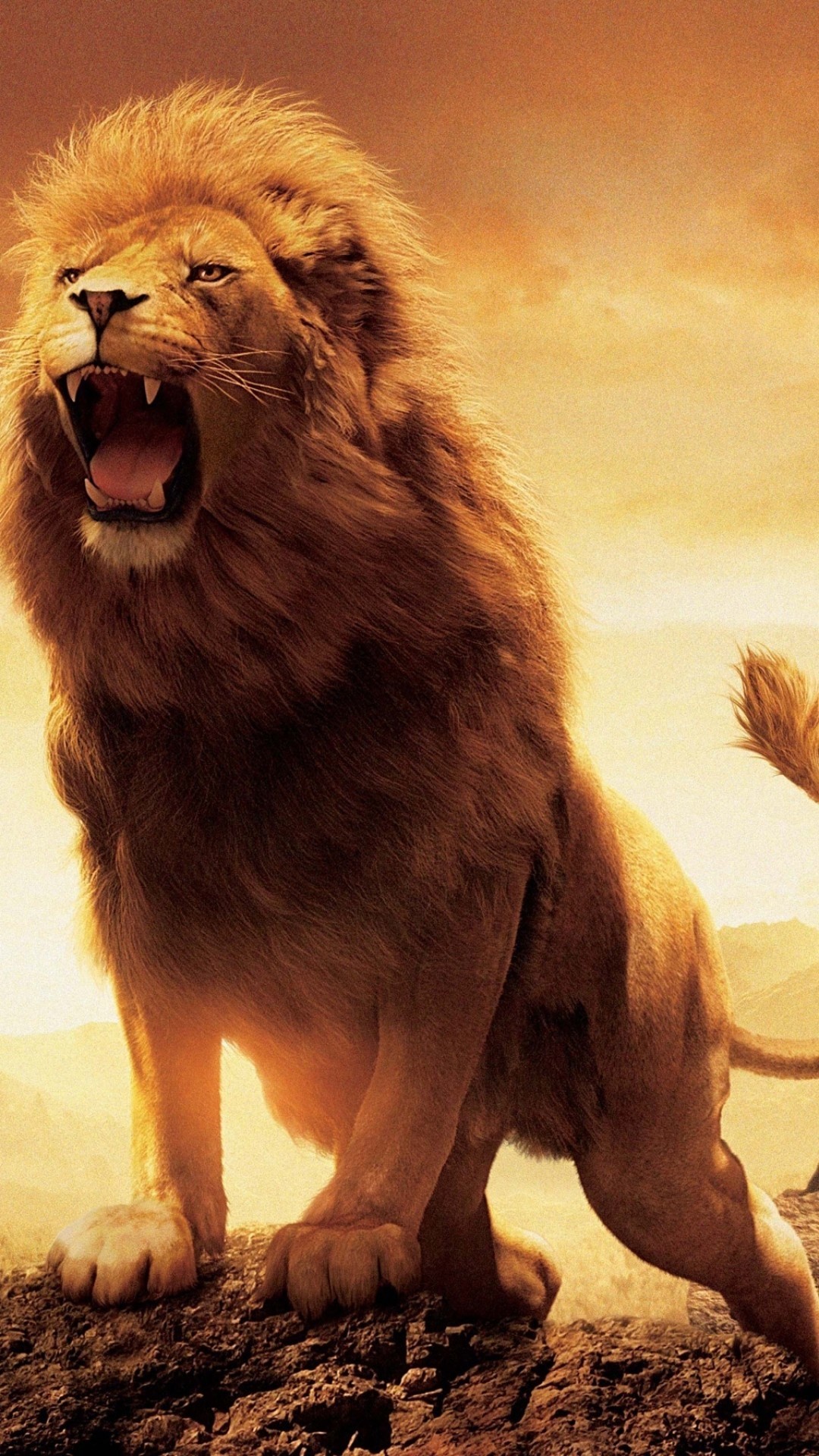 1080x1920 Roaring Lion Wallpaper 67 43 Images