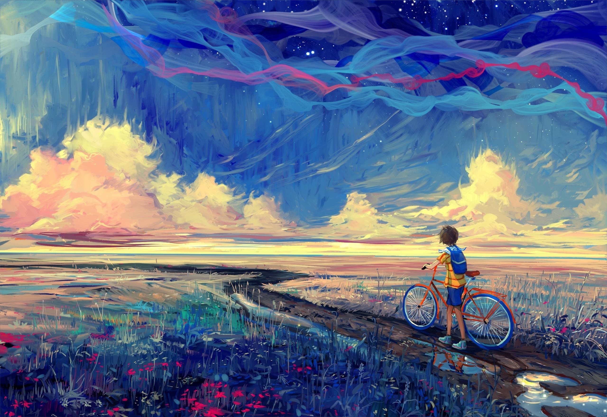 2560x1760 Bicycle Artwork Fantasy Art Wallpapers Hd Desktop And Mobile