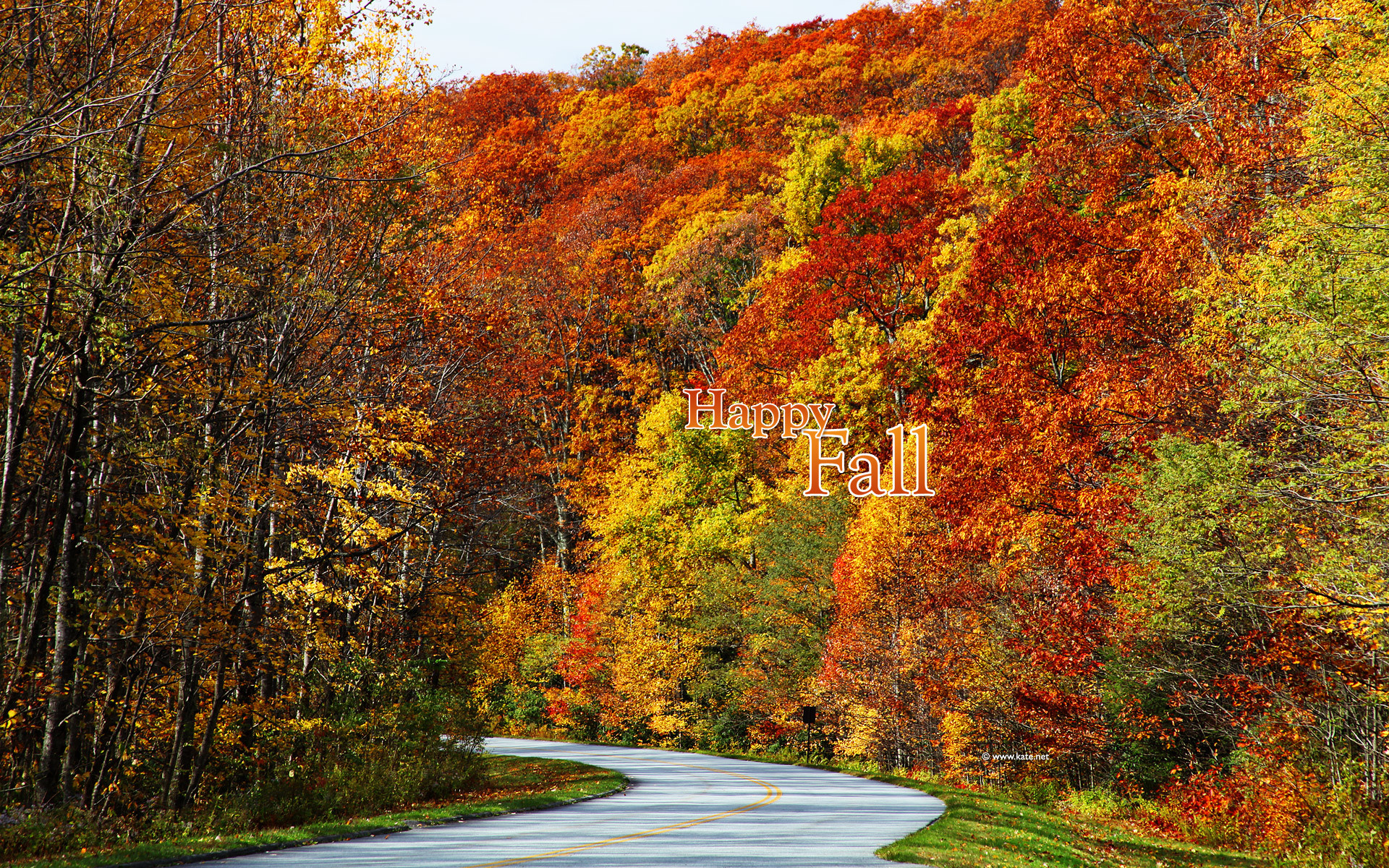 1920x1200 Free Fall Screensavers and Wallpaper | The Free Gold Autumn