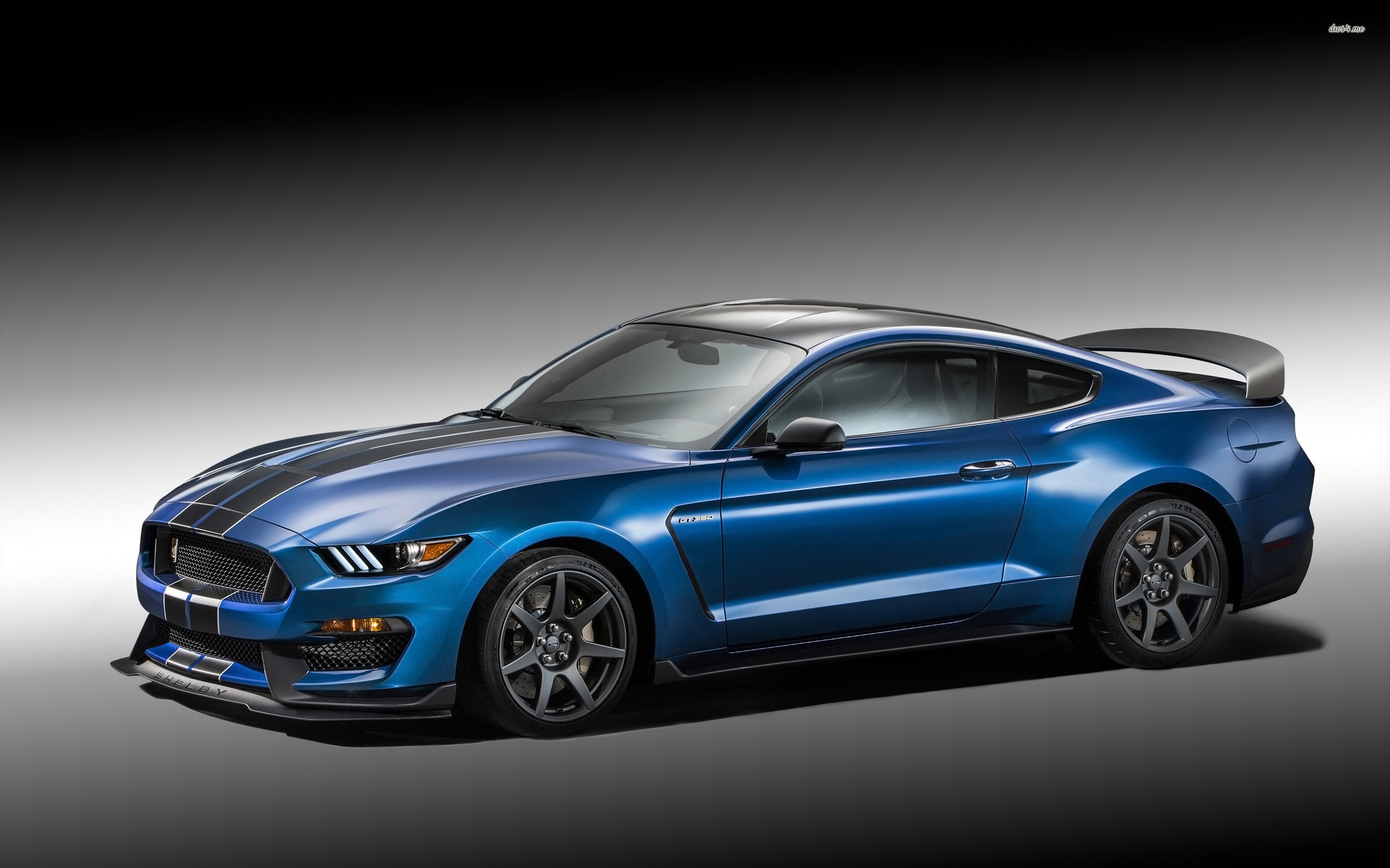 2560x1600 ... 2015 Ford Mustang Shelby GT350 wallpaper  ...